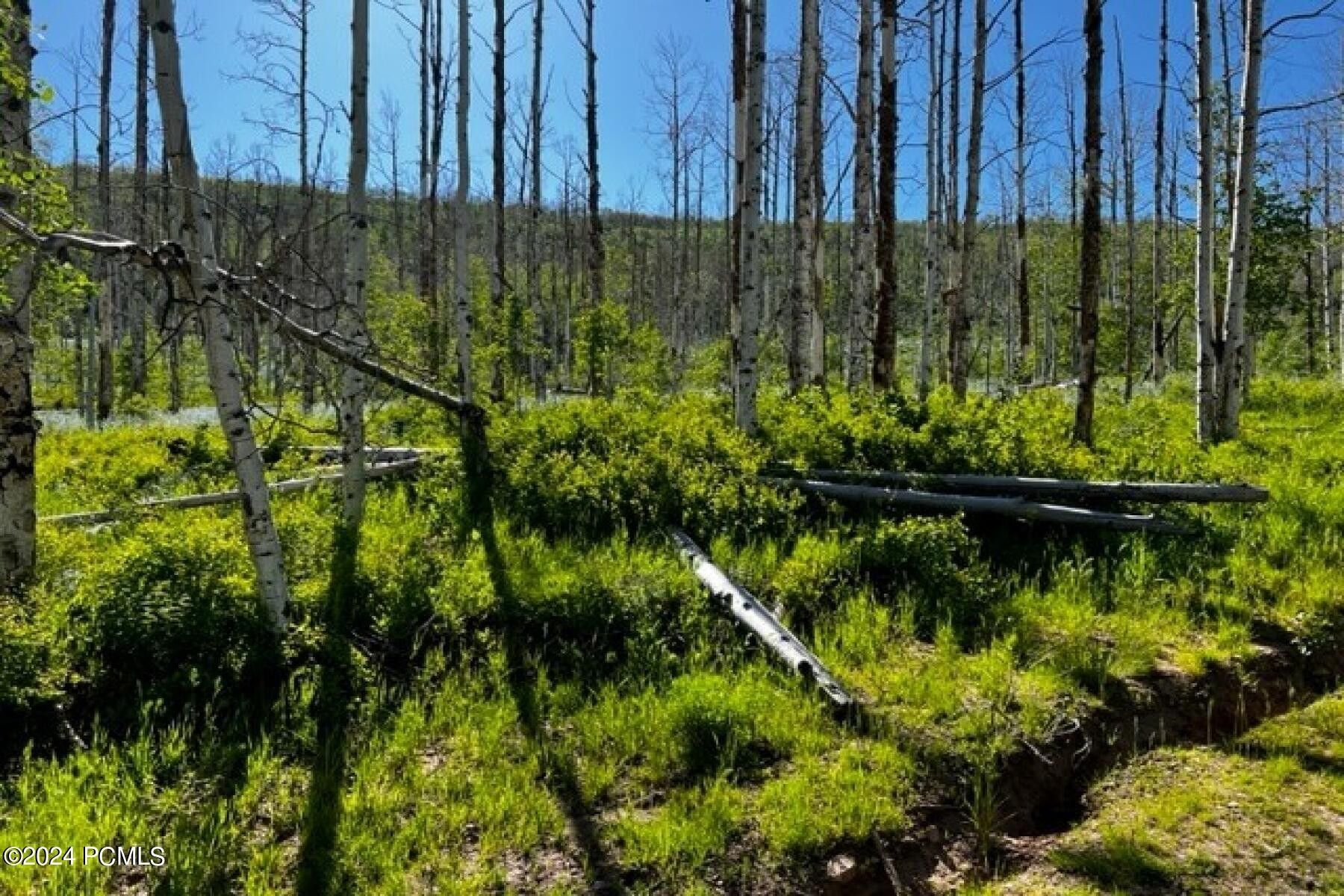 20 acres in Wasatch County, Utah