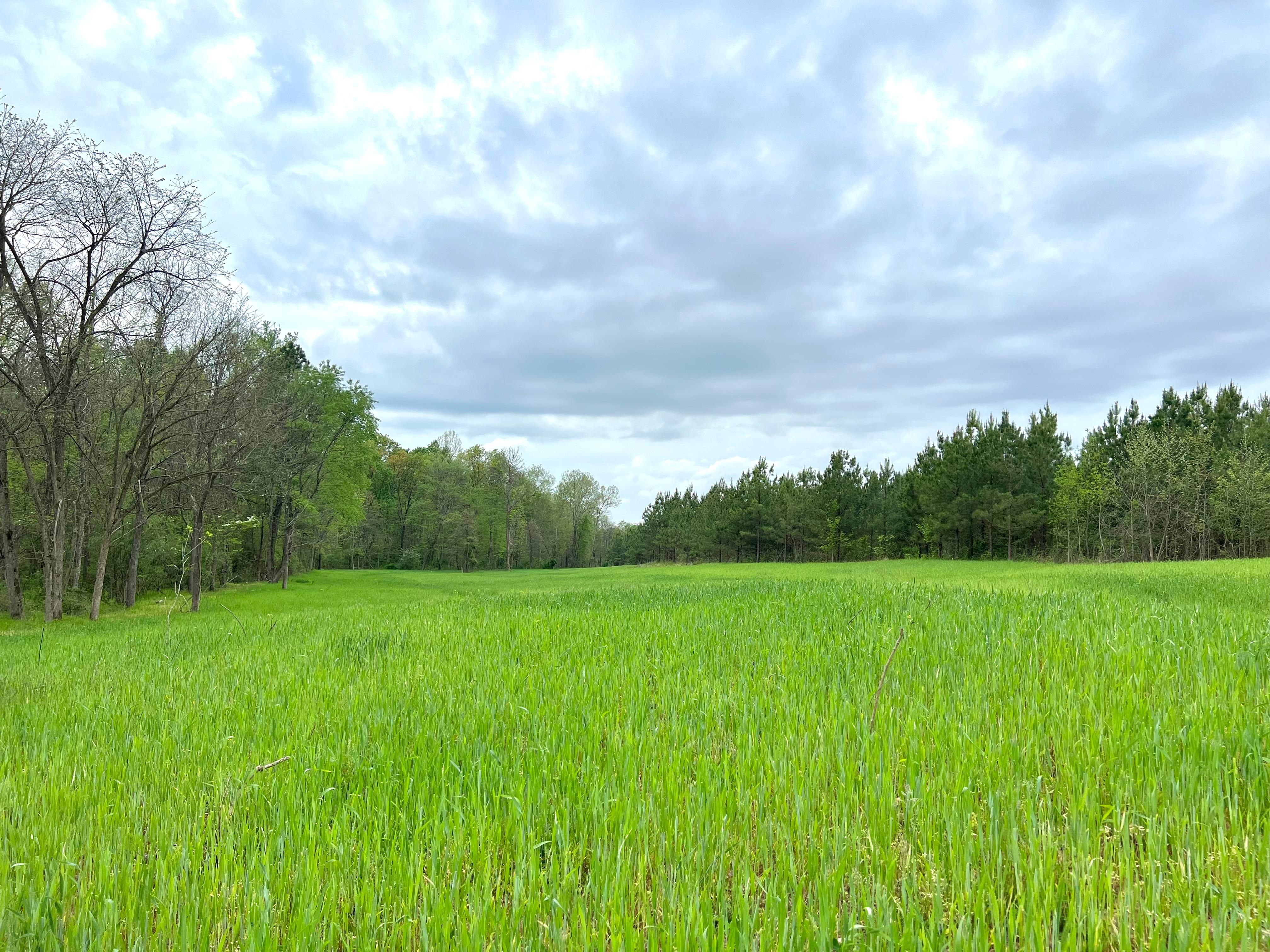 206 acres in Jackson County, Ohio