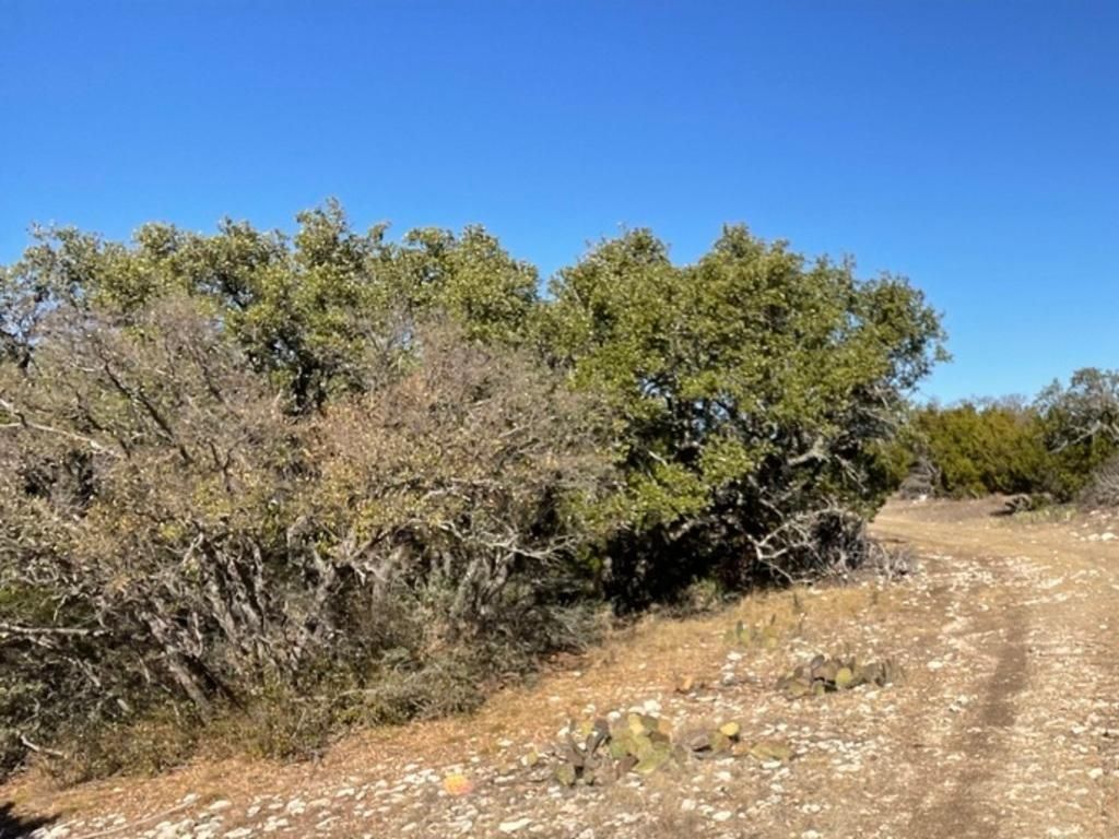 30.7 acres in Eldorado, TX, 76936