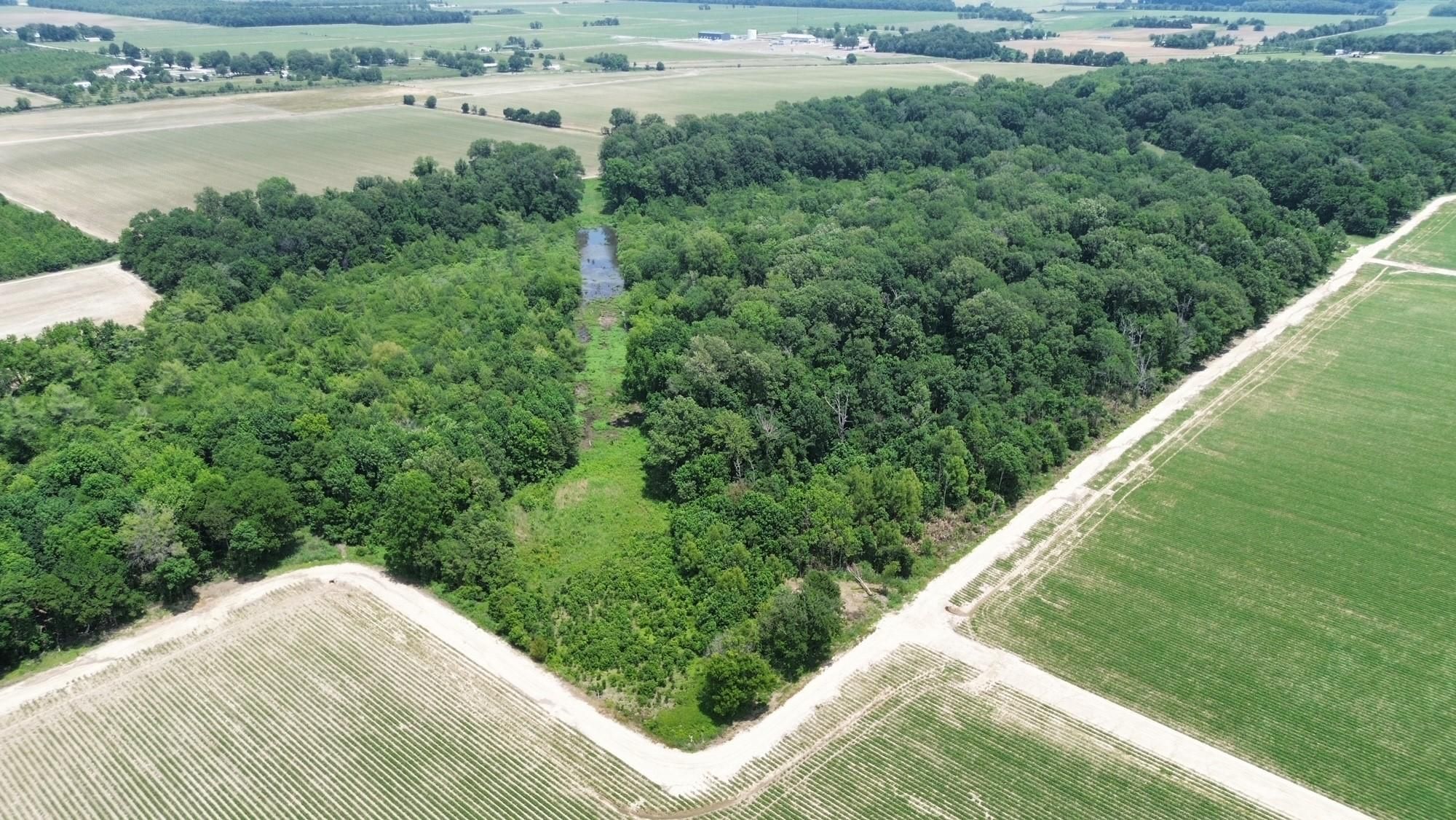 40 acres in Bolivar County, Mississippi