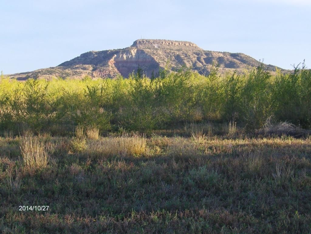 23 acres in Tucumcari, NM, 88401