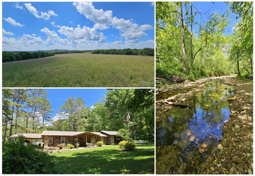 37286 County Road EE270, Vanzant, MO 65768 MLS 60270991