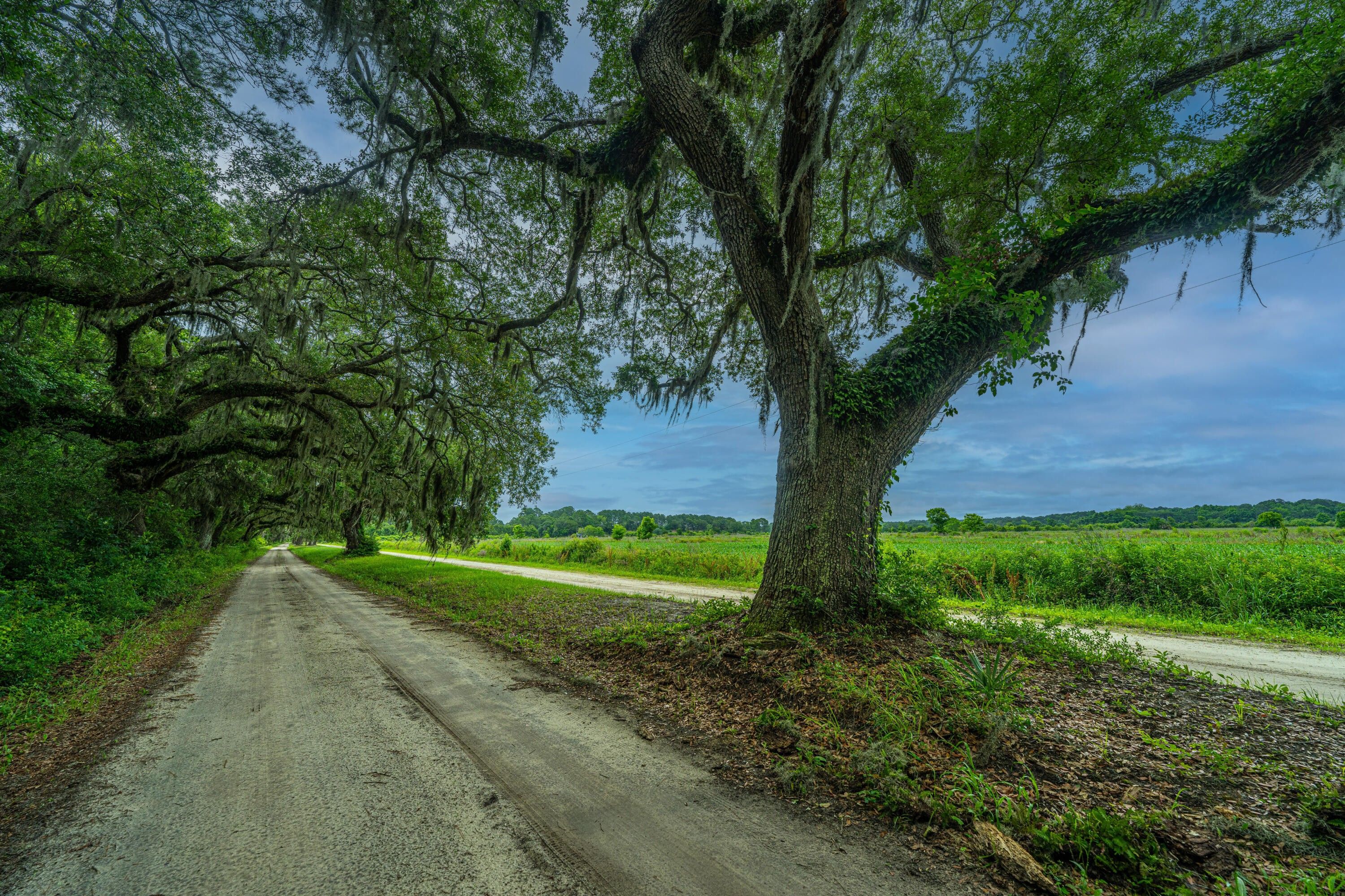 0 Brick House Road, Edisto Island, SC 29438 MLS 24012766