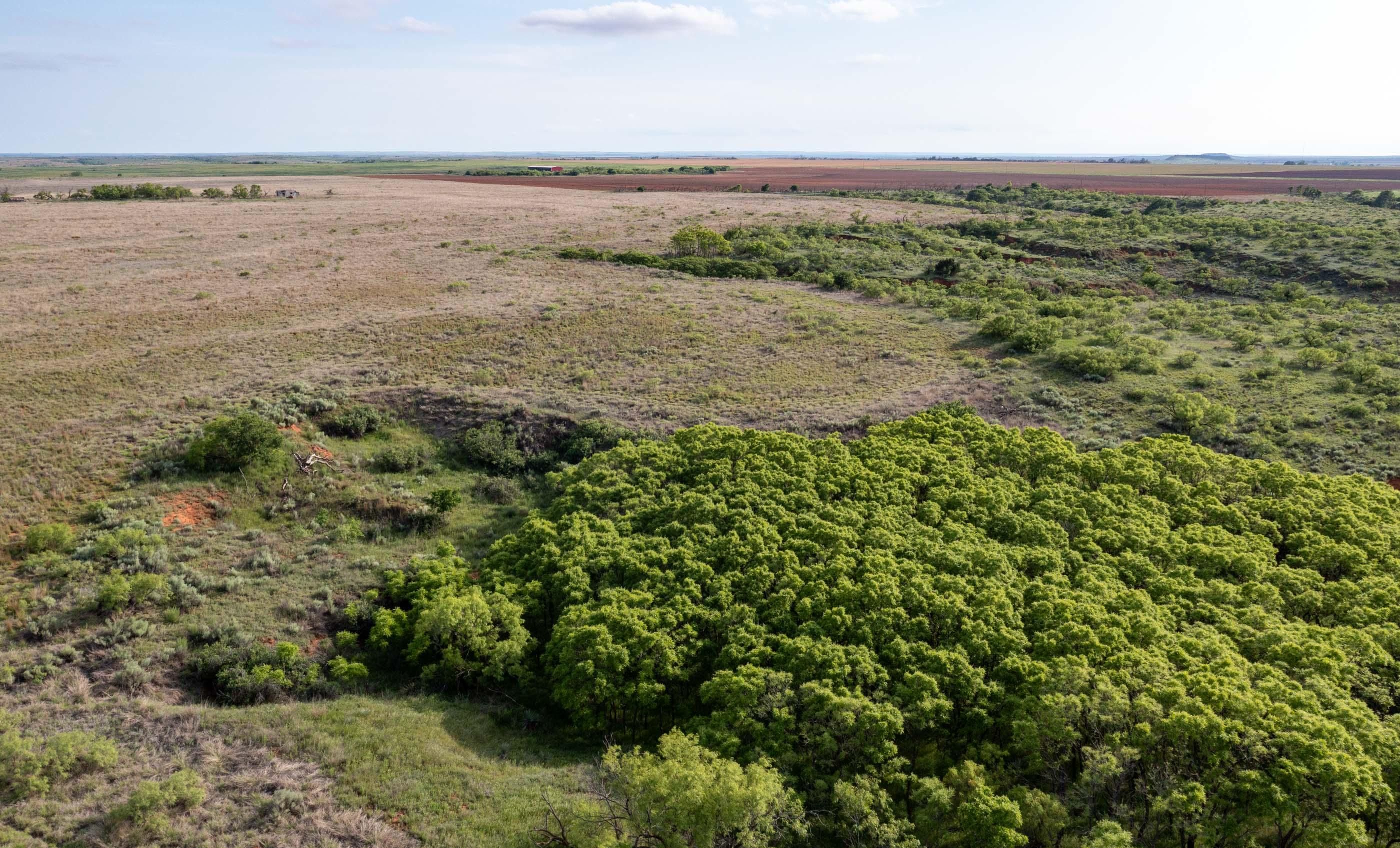 425 acres in Memphis, TX, 79245