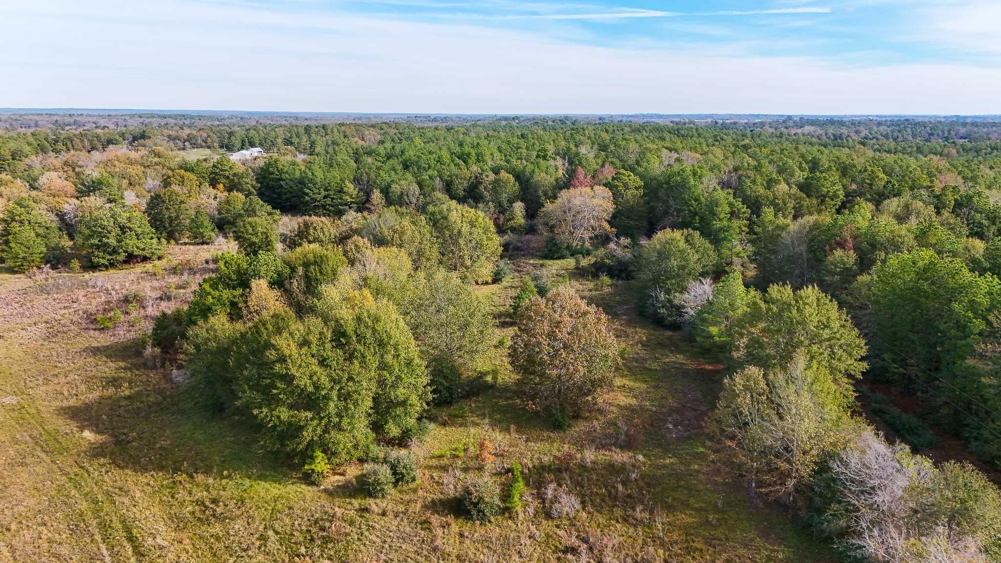 Fodice Road, Lovelady, TX 75851