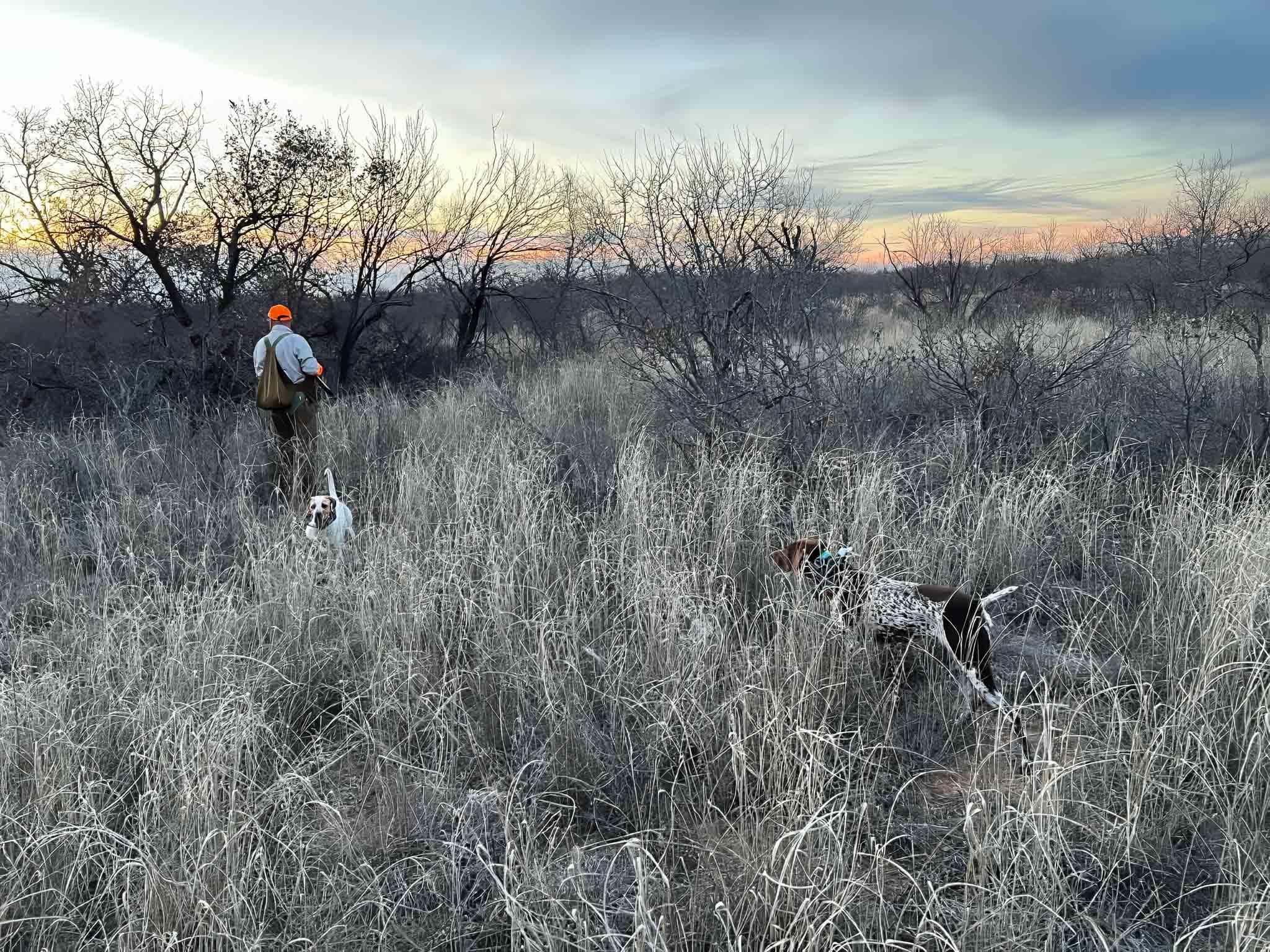 C R 325, Aspermont, TX 79502