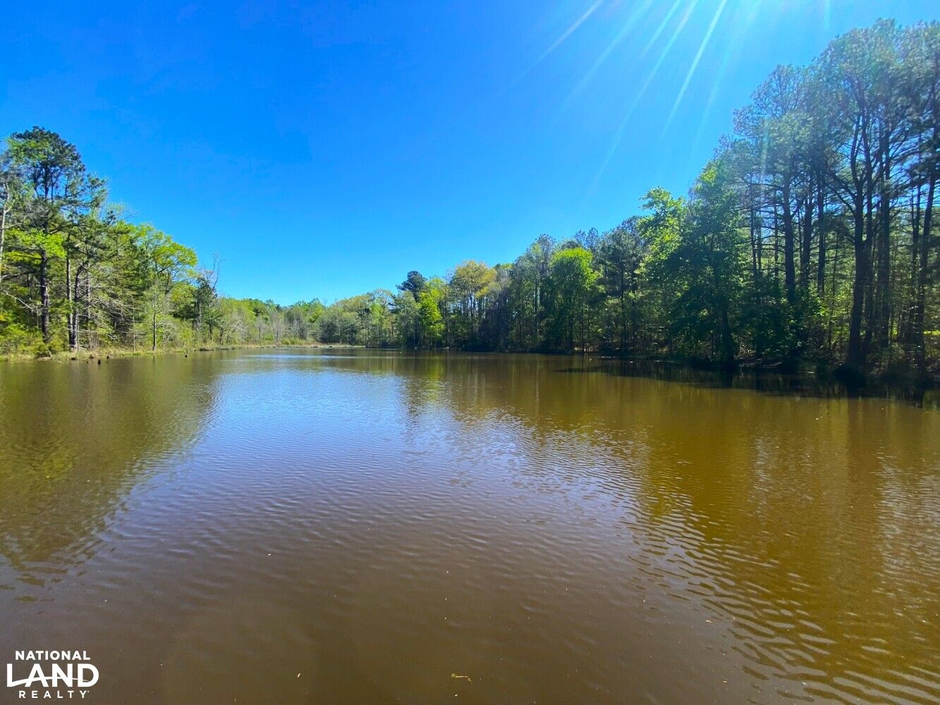 0 County Road 18, Sawyerville, AL 36776