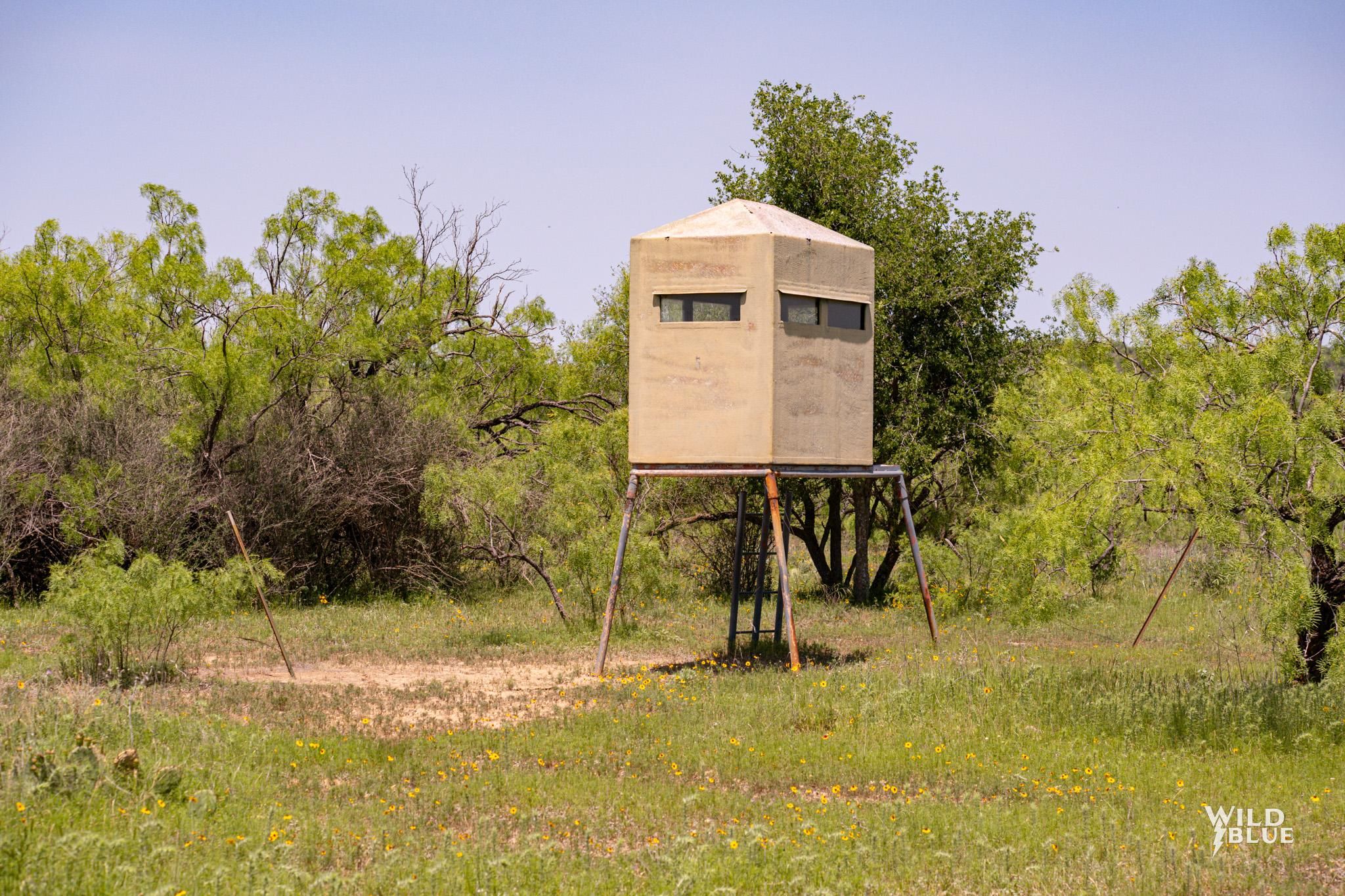 3338 County Rd 374, Talpa, TX 76882 MLS 20625631