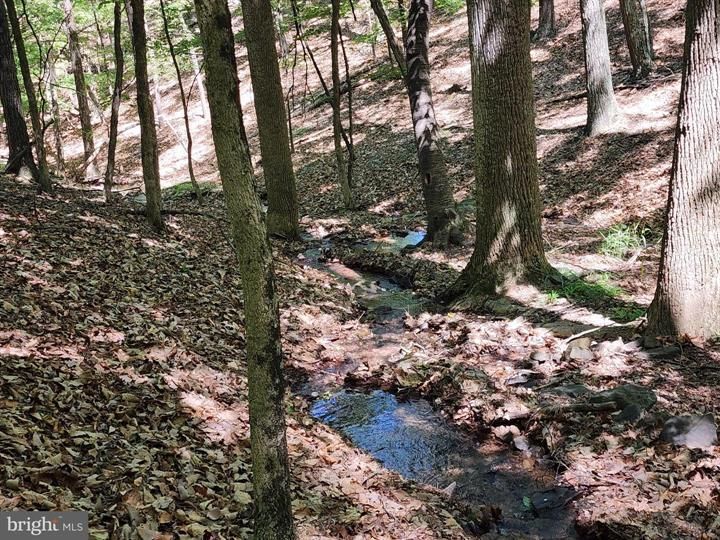 LOT B GAITHER ROAD, PAW PAW, WV 25434 MLS WVMO2004558