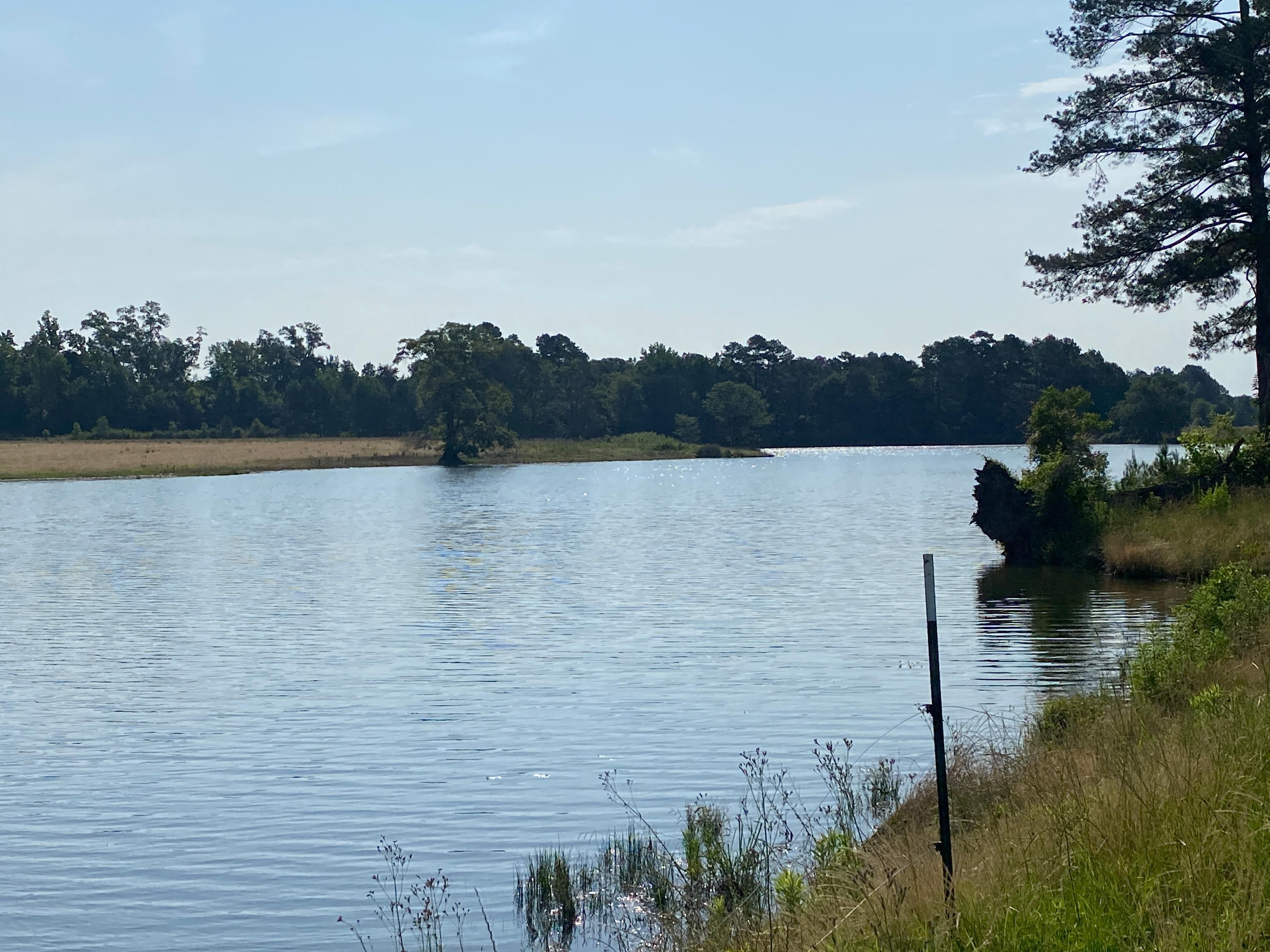 336 acres in Vicksburg, MS, 39083