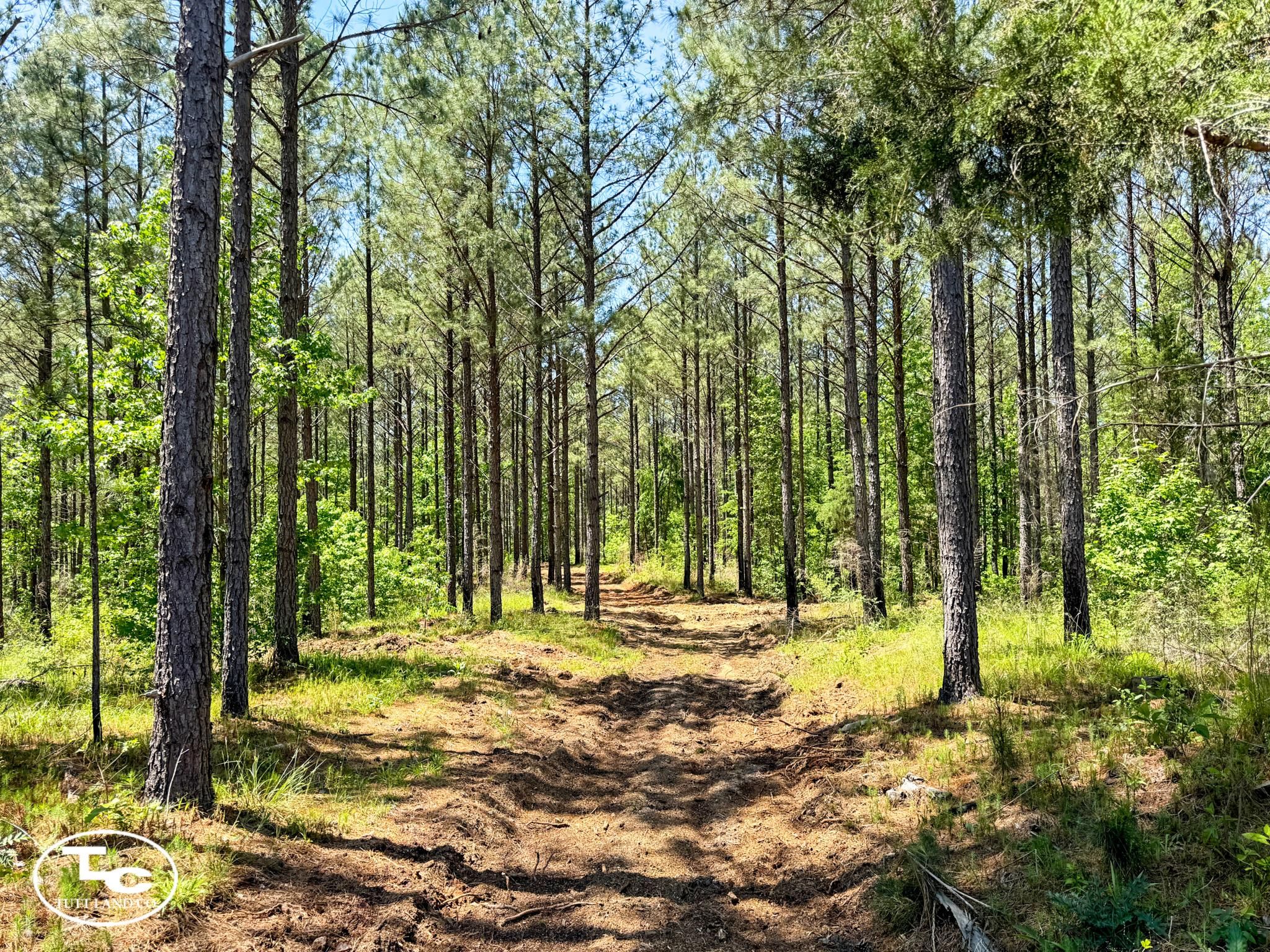 141.5 acres in Talbotton, GA, 31827