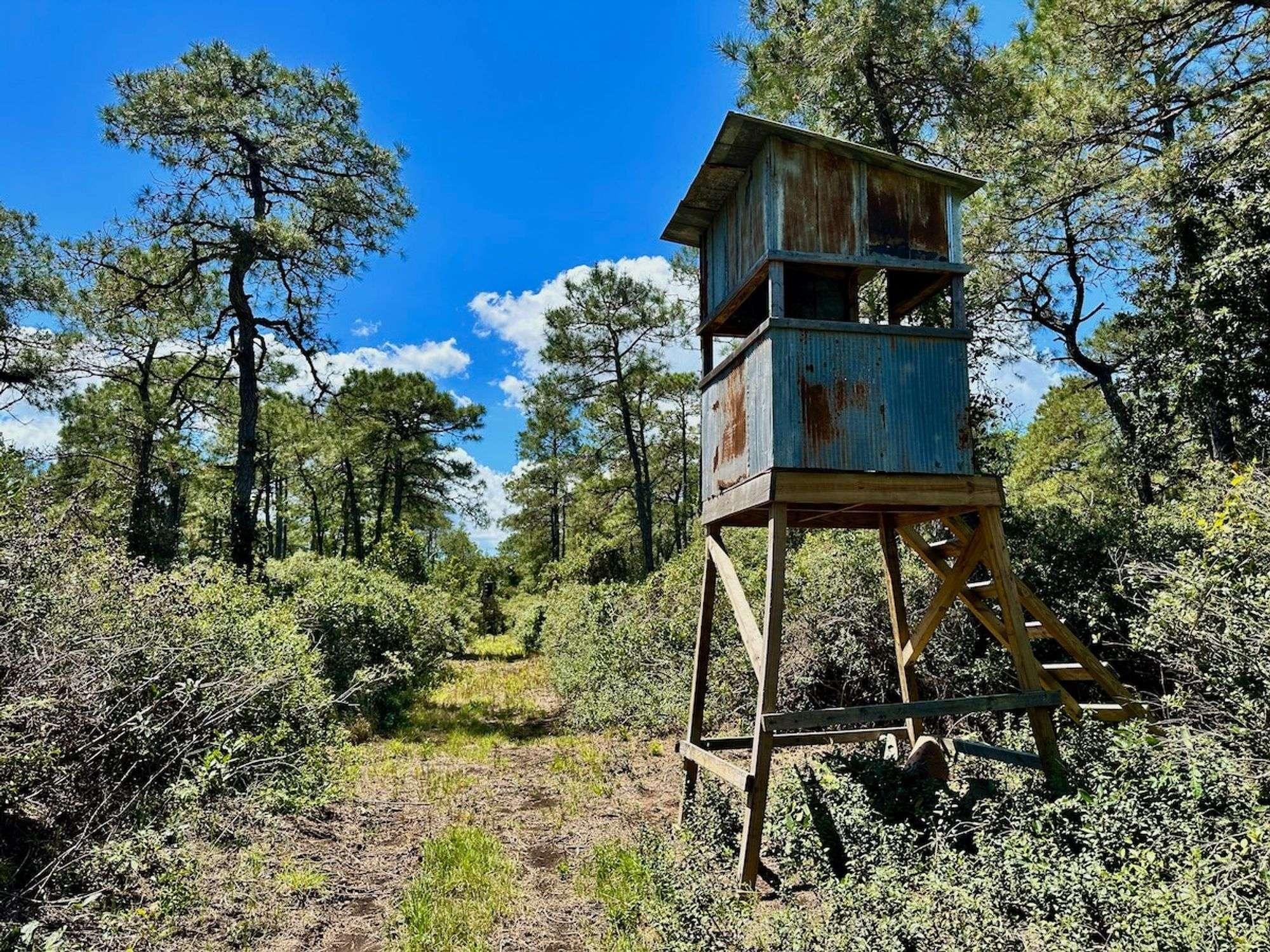 Off Dunbar Canal Rd, Currituck, NC 27810 MLS 60 acre Hunting Land for Sale in Hyde County