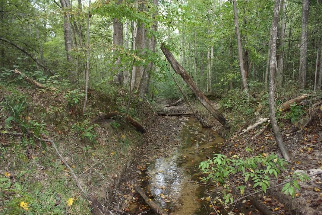 54 acres in Baldwyn, MS, 38824 MLS 241801