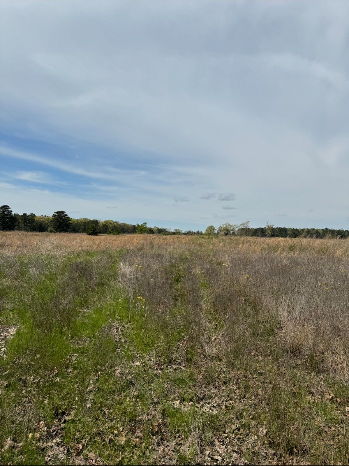 000 Sand Road, Haworth, OK 74740 MLS 11258548