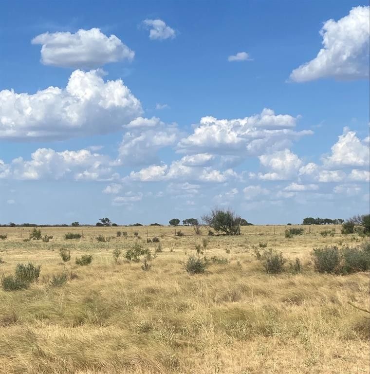 0000 Terrapin, Megargel, TX 76370 MLS 20628019