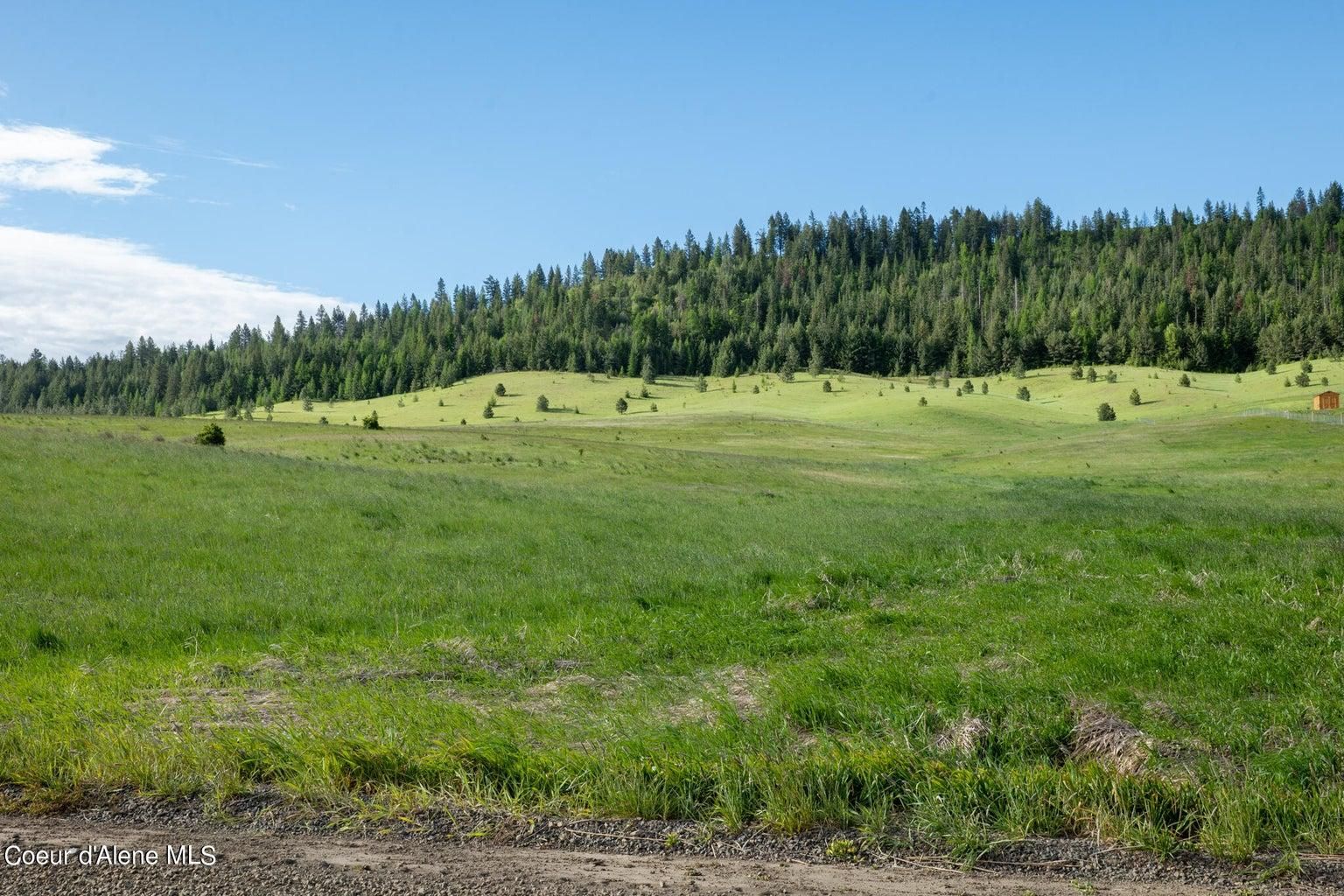 Lot A Merideth Rd, Plummer, ID 83851 MLS 244755