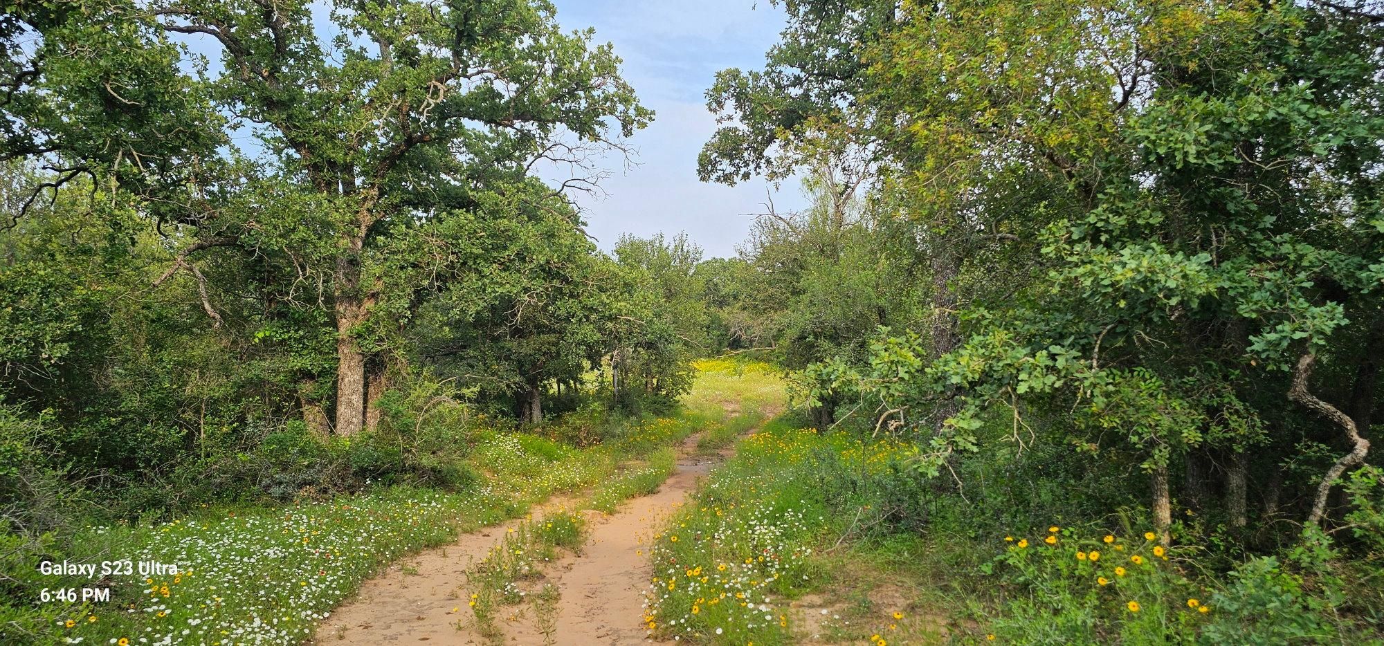 County Road 259, Rochelle, TX 76872