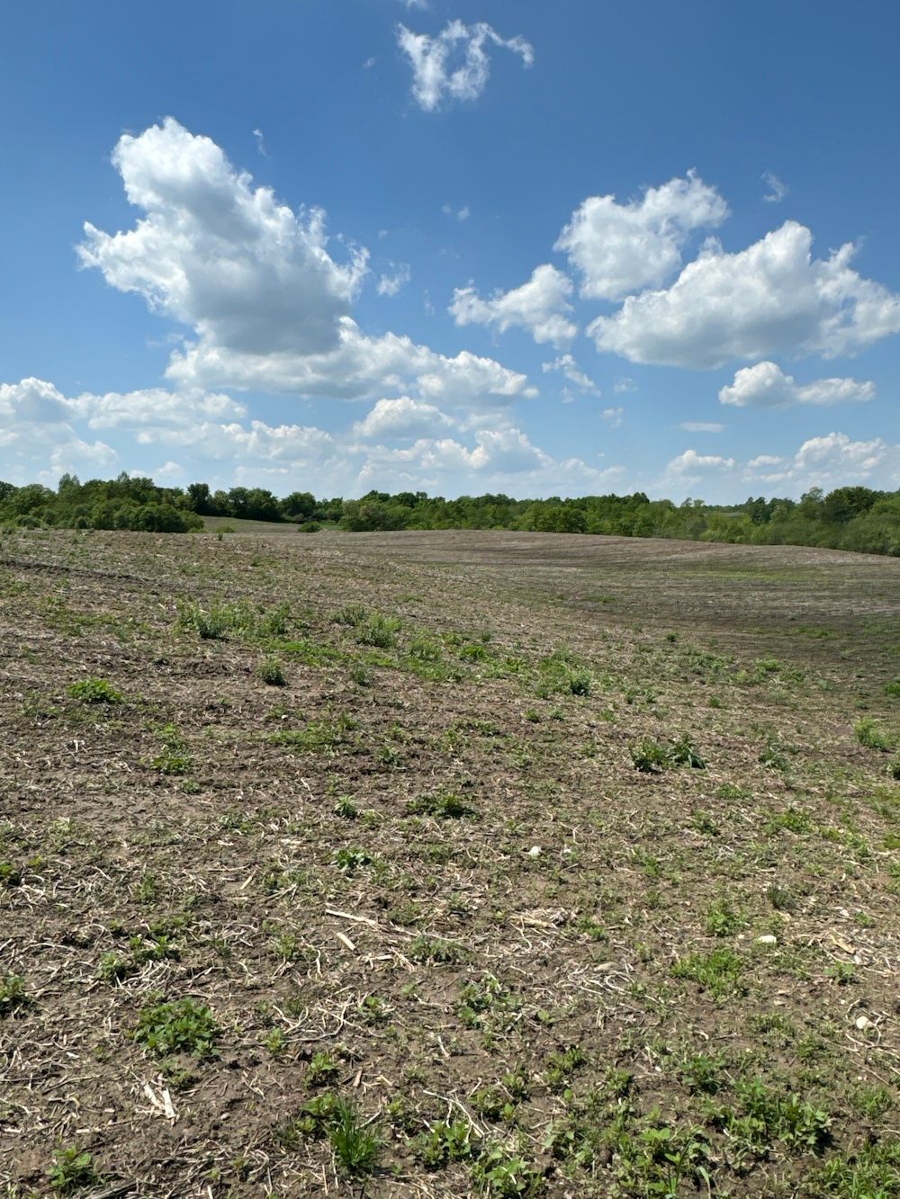 0 State Hwy 87, Cushing, WI 54006 MLS 1582388