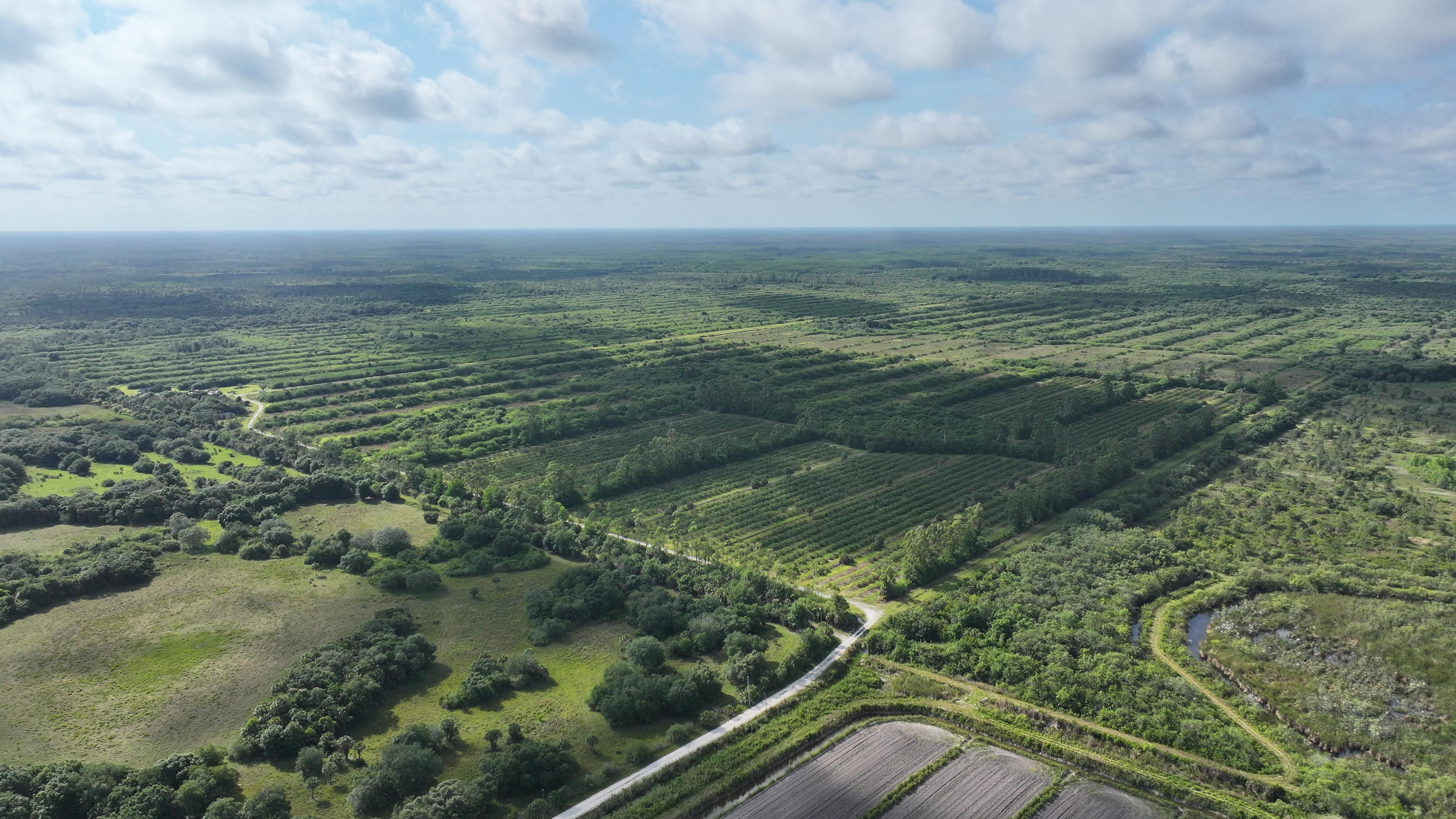1,280 acres in Immokalee, FL, 34142