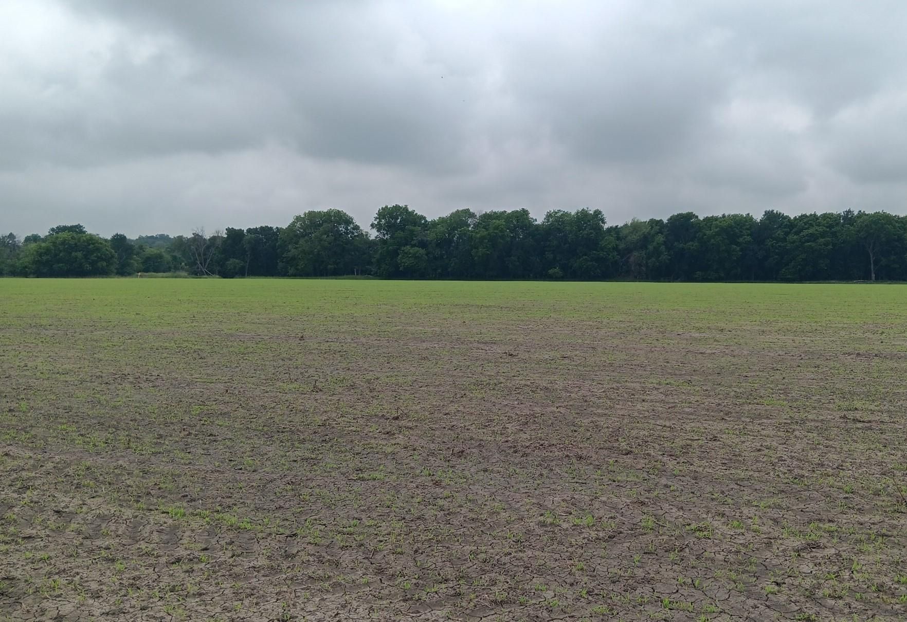 TBD County Road 494N, Chilton, TX 76632