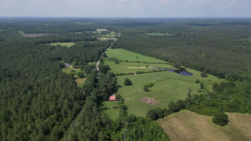 5182 Millry Buckatunna Road, LotWP001, Millry, AL 36558 MLS 362907