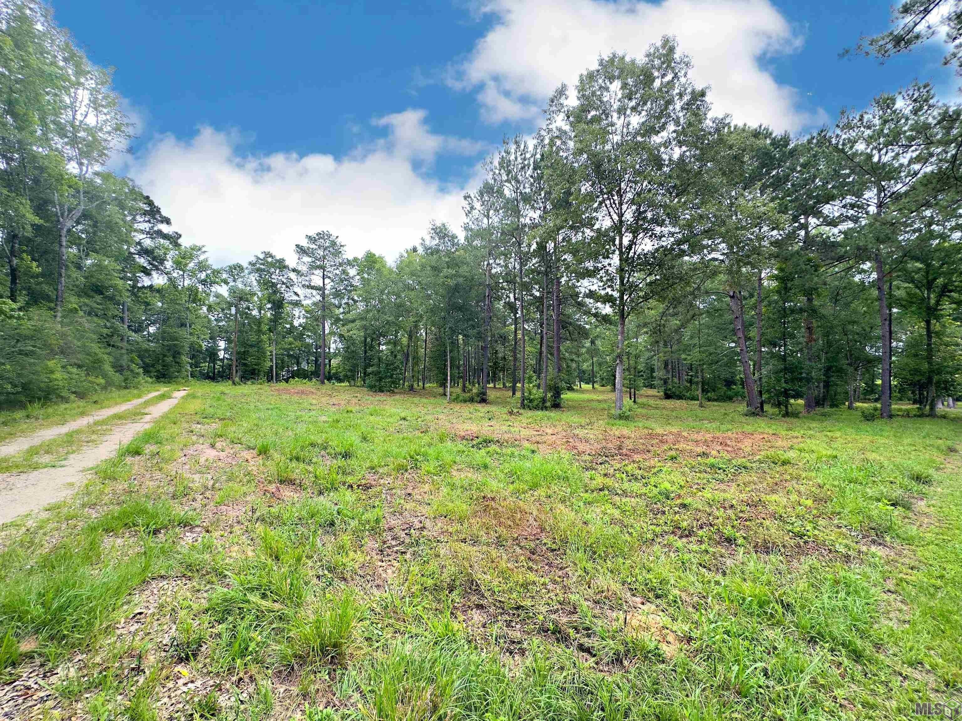 2.5 acres in East Feliciana Parish, Louisiana