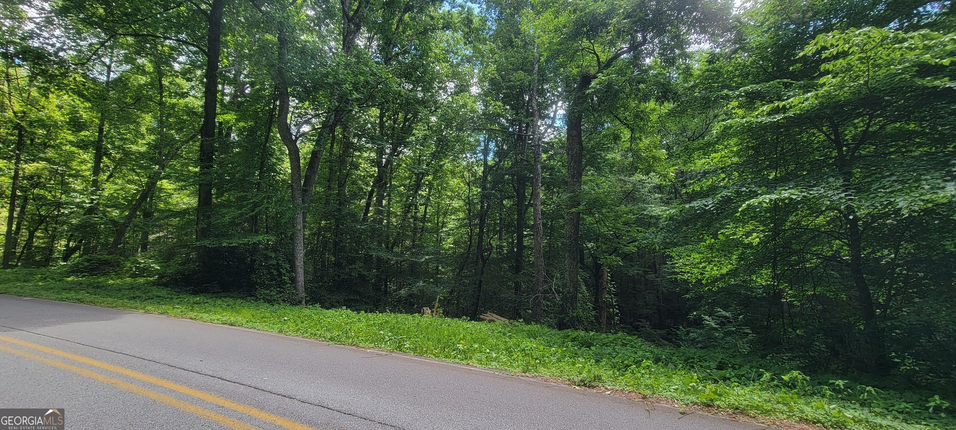 0 Blue Ridge Gap, Rabun Gap, GA 30568 MLS 10308628