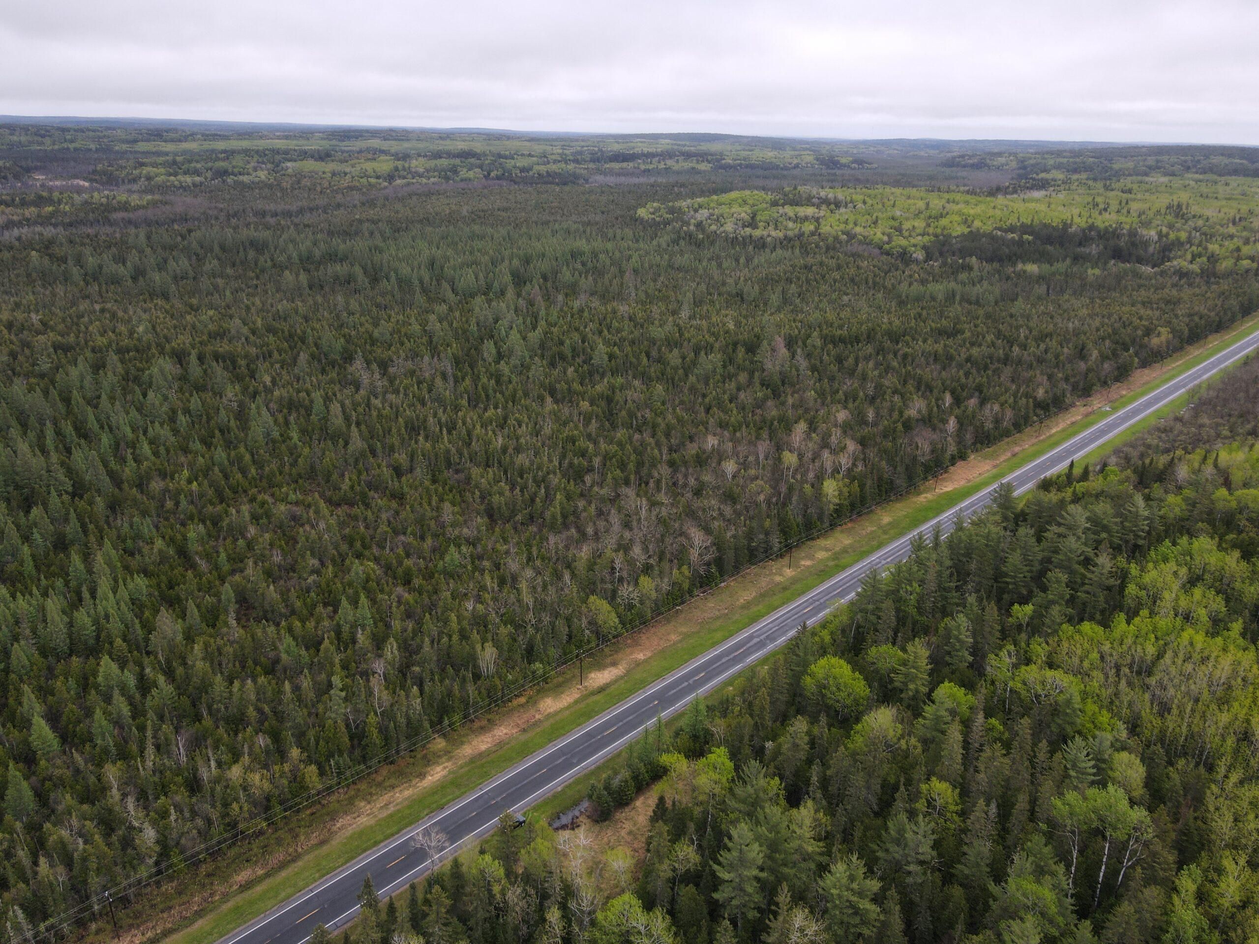 40 acres in Orr, MN, 55771