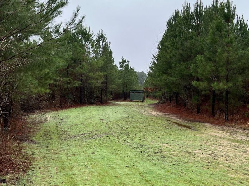 221 acres in San Augustine County, Texas