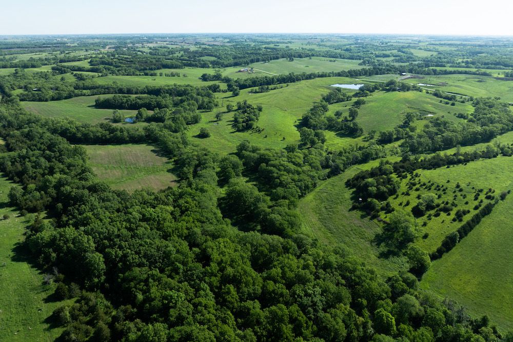 TBD 310th Avenue, Moulton, IA 52572