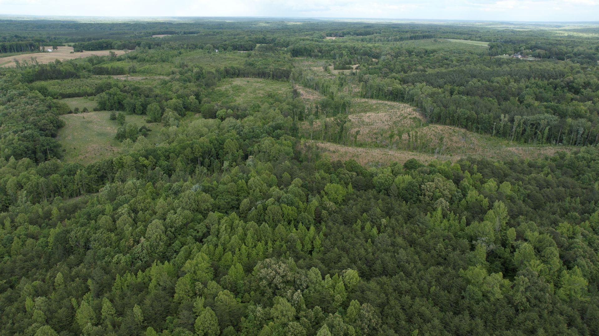 Coles Ferry Rd, Nathalie, VA 24577