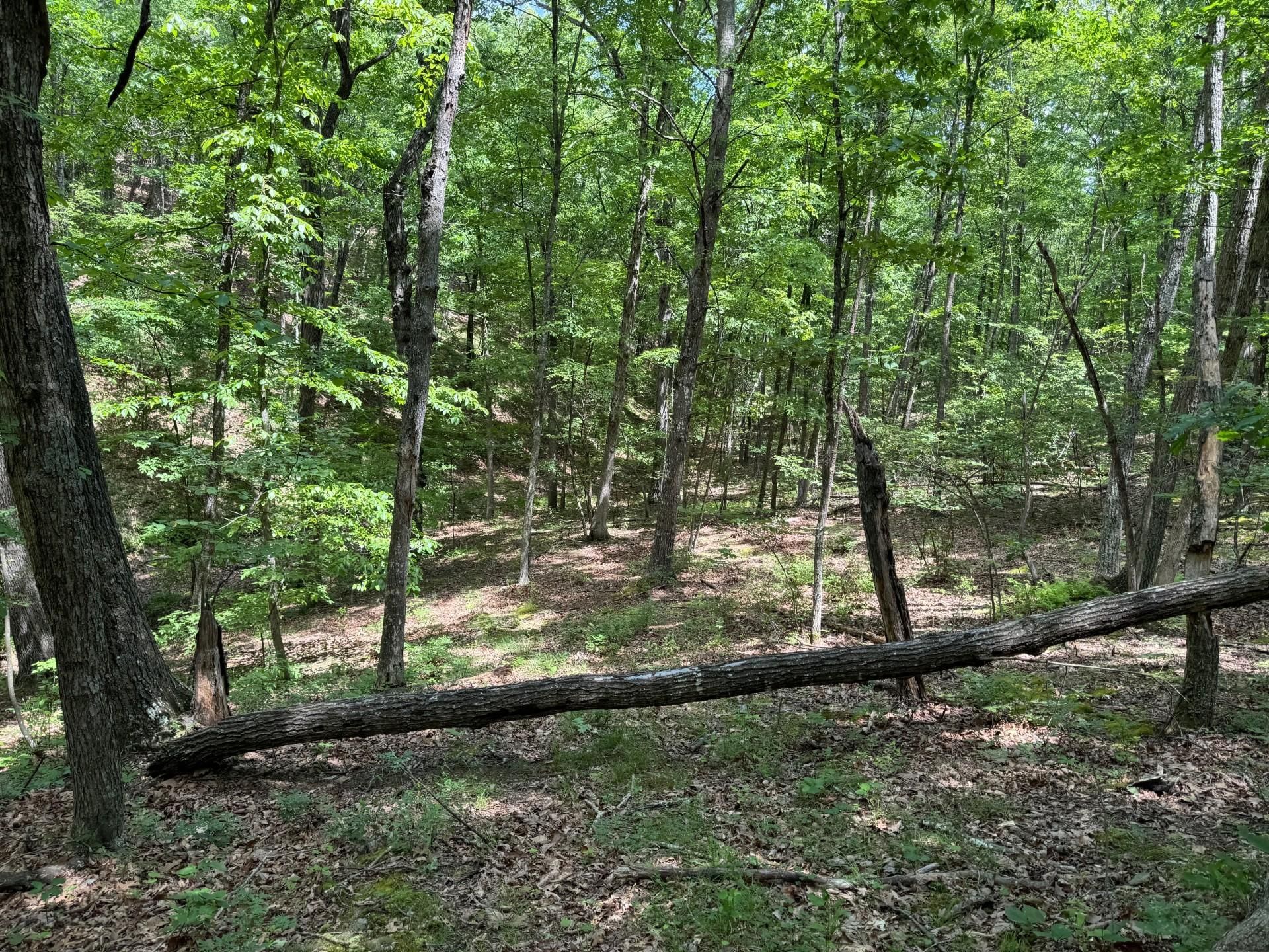 Delray Heights Circle, Delray, WV 26714 MLS WVHS2004752