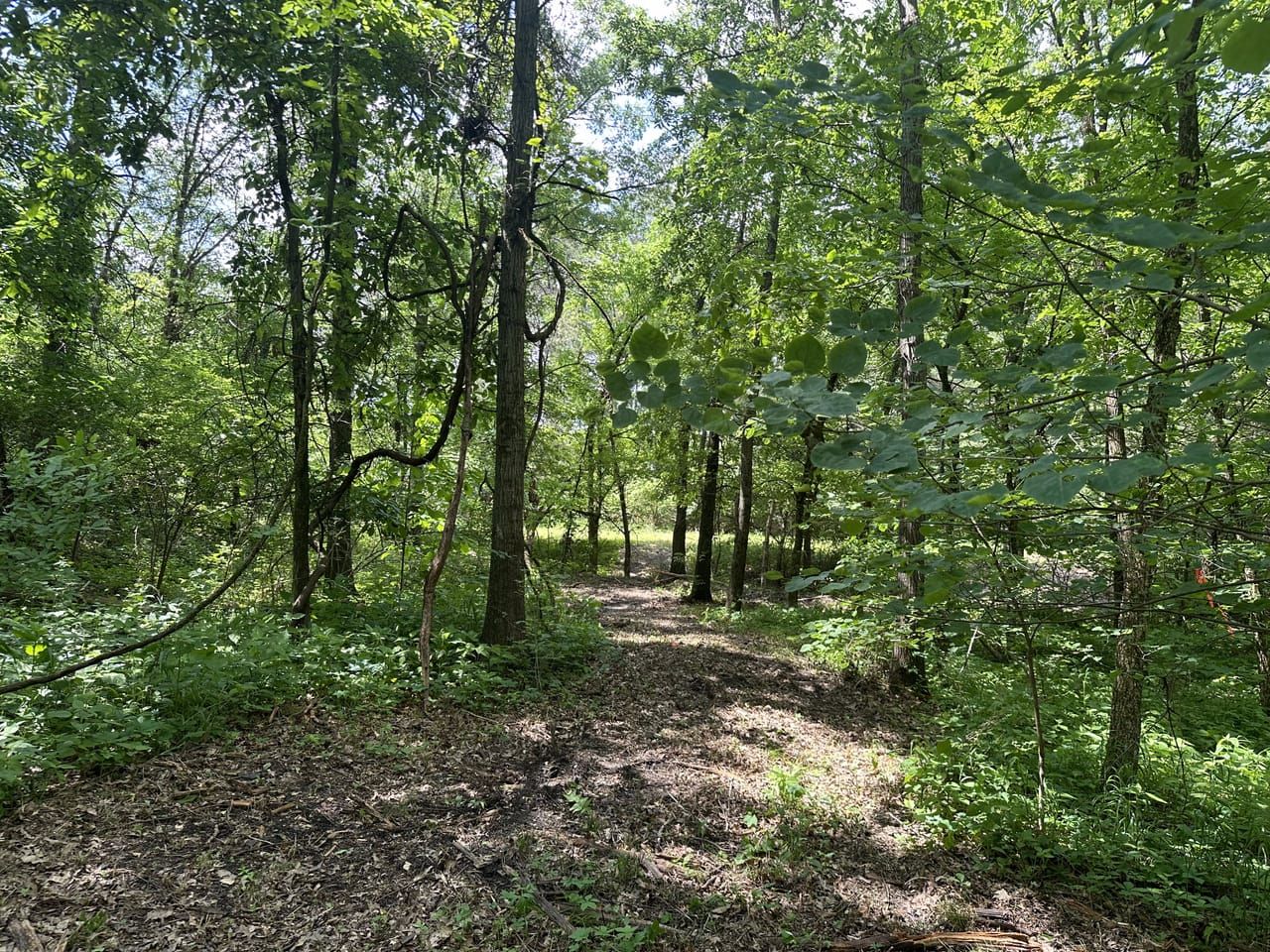 7 acres in Clay County, Indiana