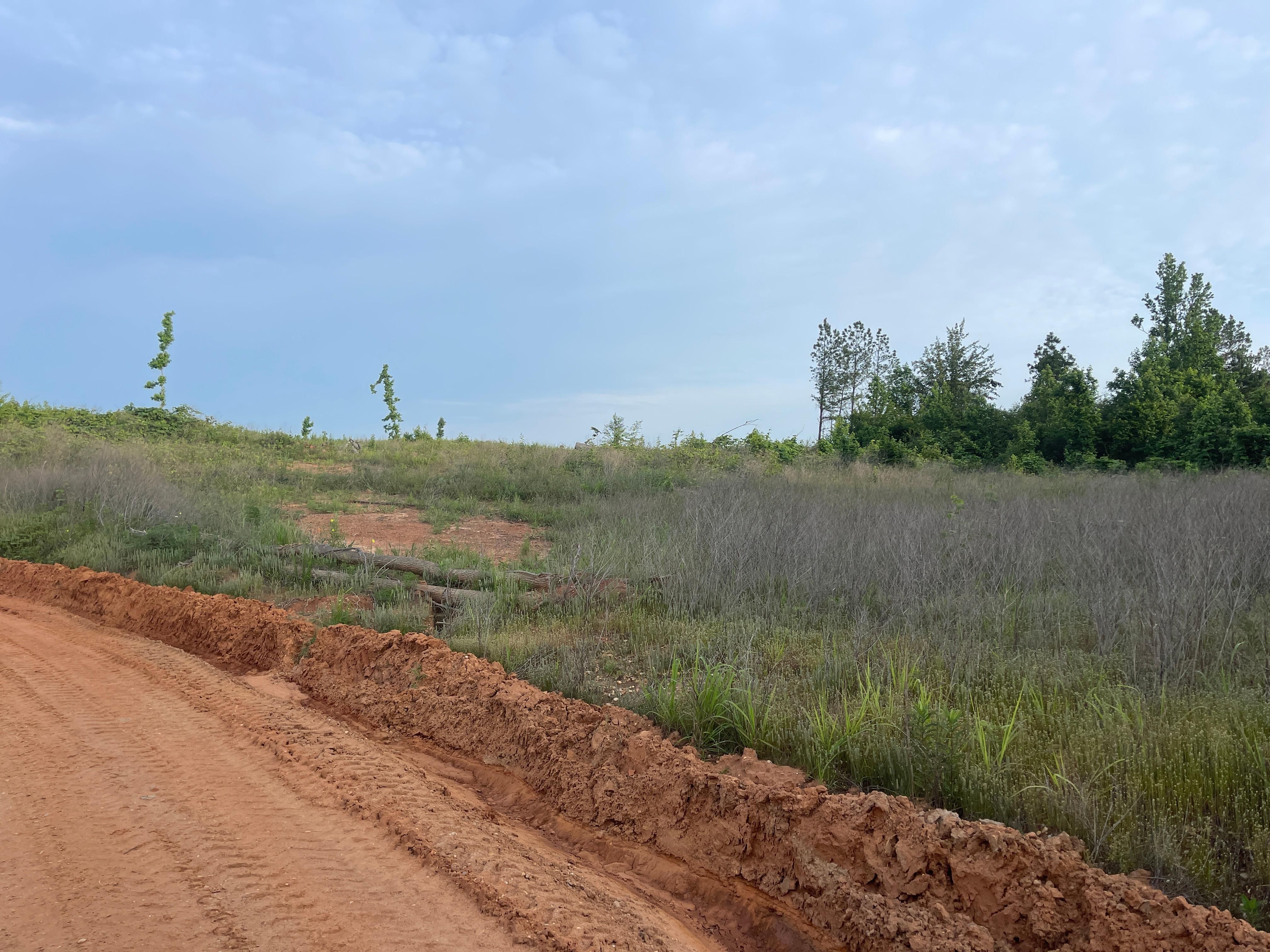 38 acres in Tuscaloosa, AL, 35475