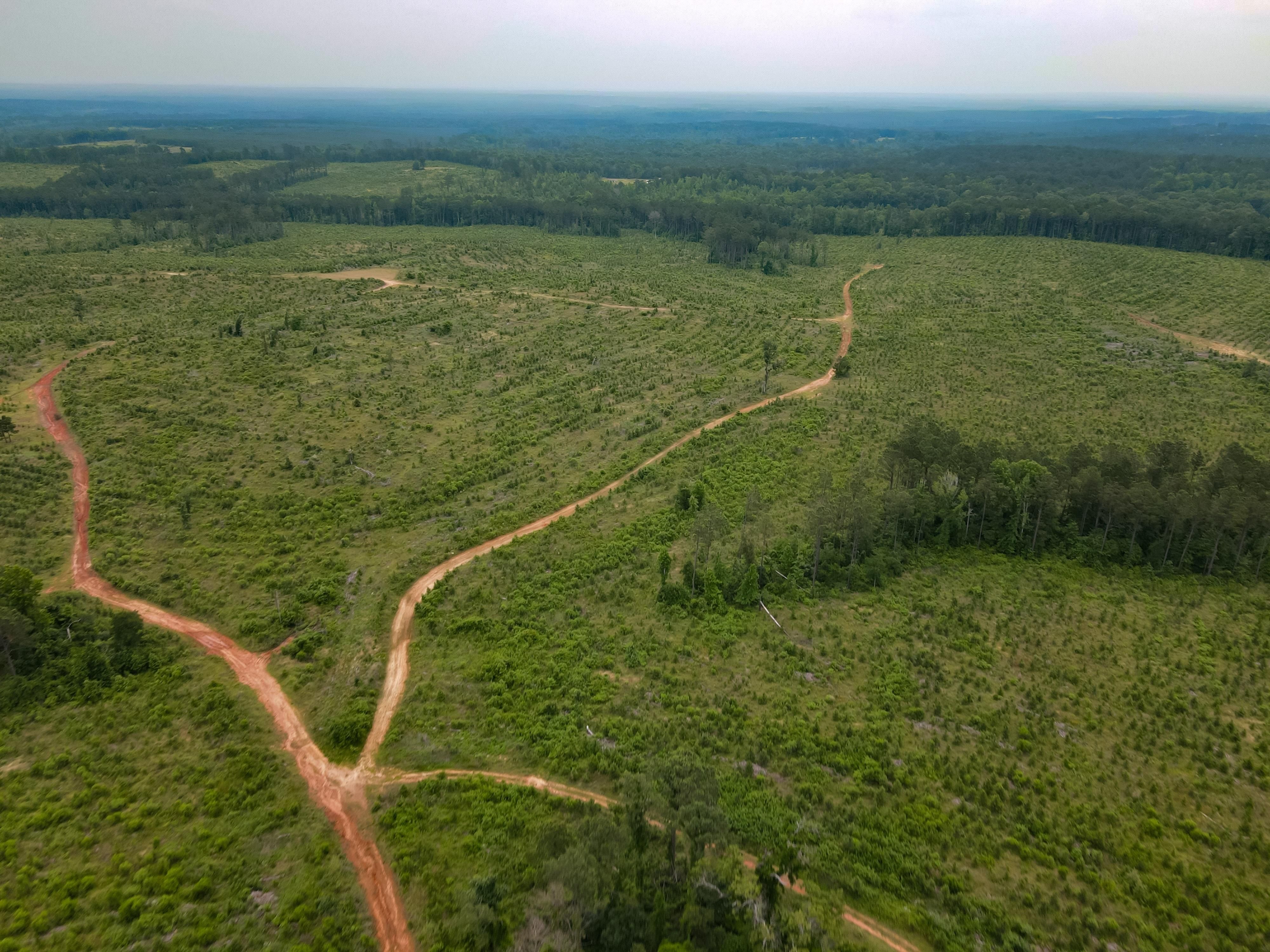 412 acres in Marion County, Texas