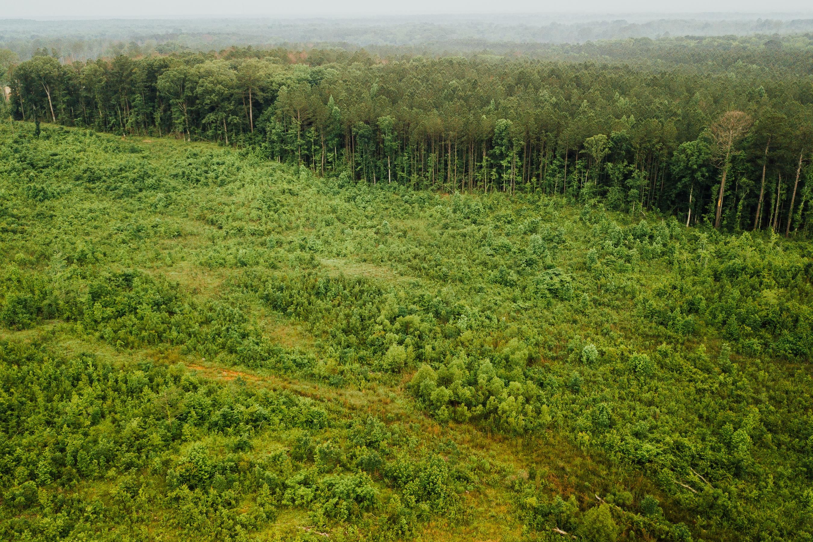 237 acres in Canton, MS, 39046