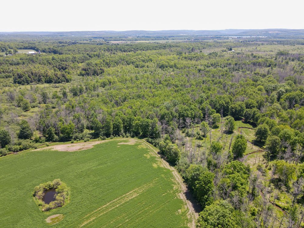 182 acres in Cattaraugus County, New York