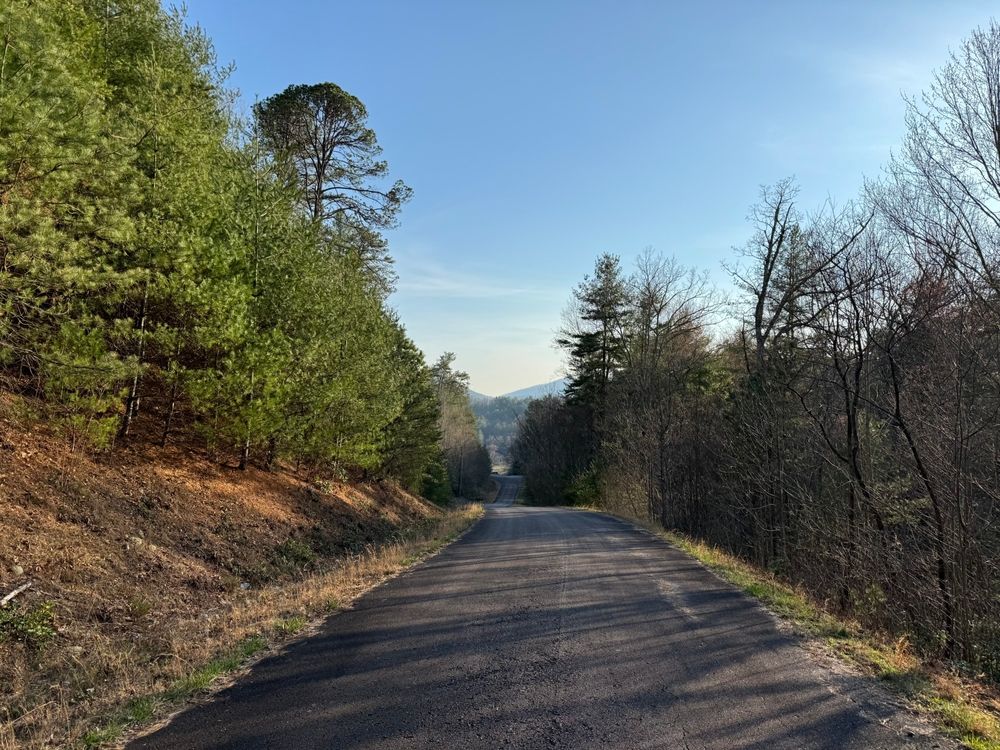 0 Shake Hollow Drive Lot 8, Rabun Gap, GA 30568