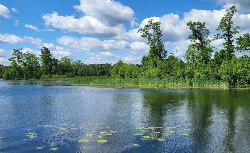 0.5 acres in Browerville, MN, 56438 MLS 080087200