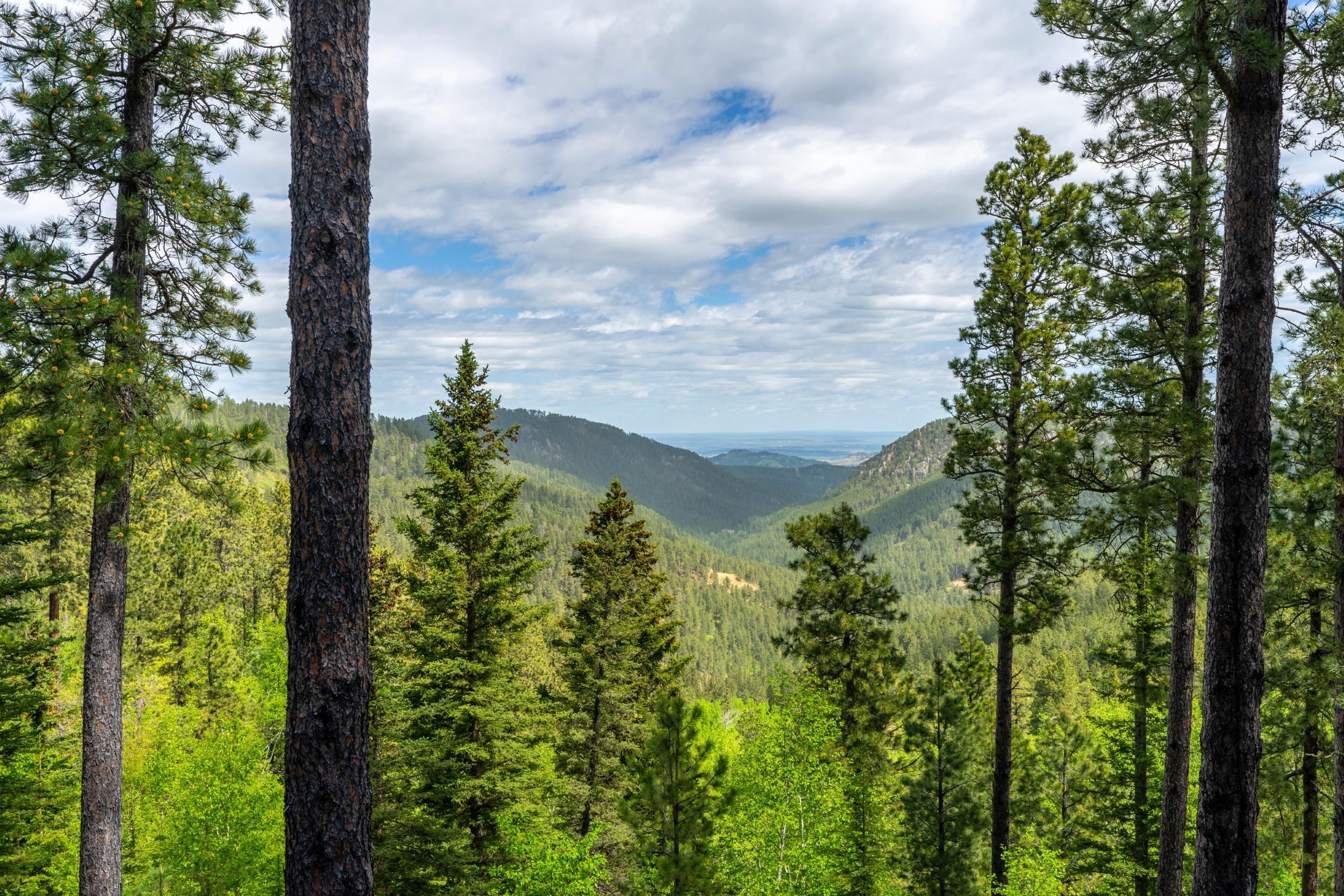 20735 Pyrite Dr, Lead, SD 57754 MLS 80523