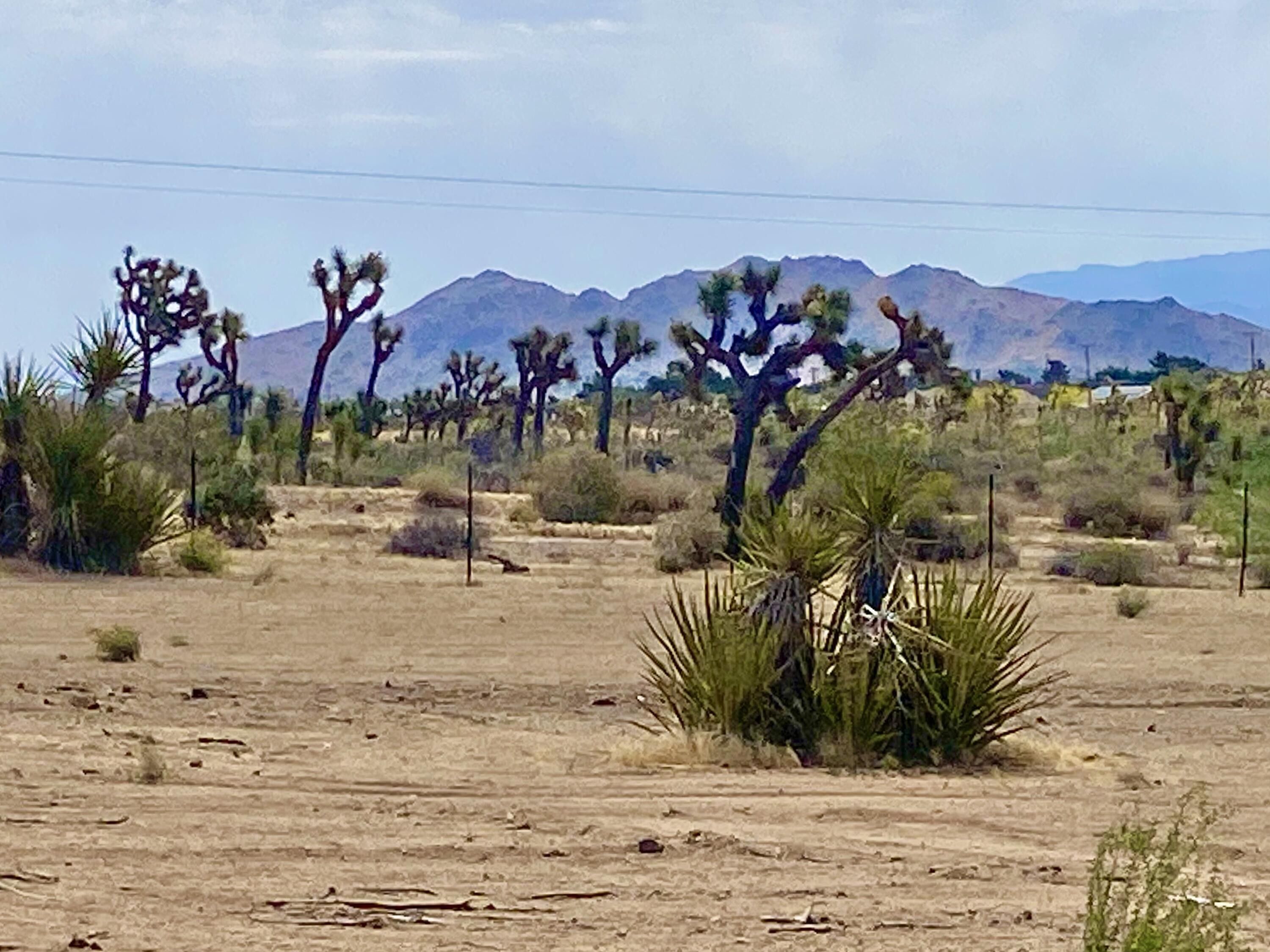 120 Warren Vista Avenue, Yucca Valley, CA 92284 MLS 219112738