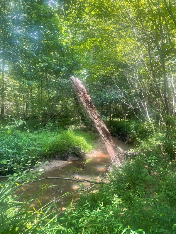 6022 Lee Road 158, Salem, AL 36874