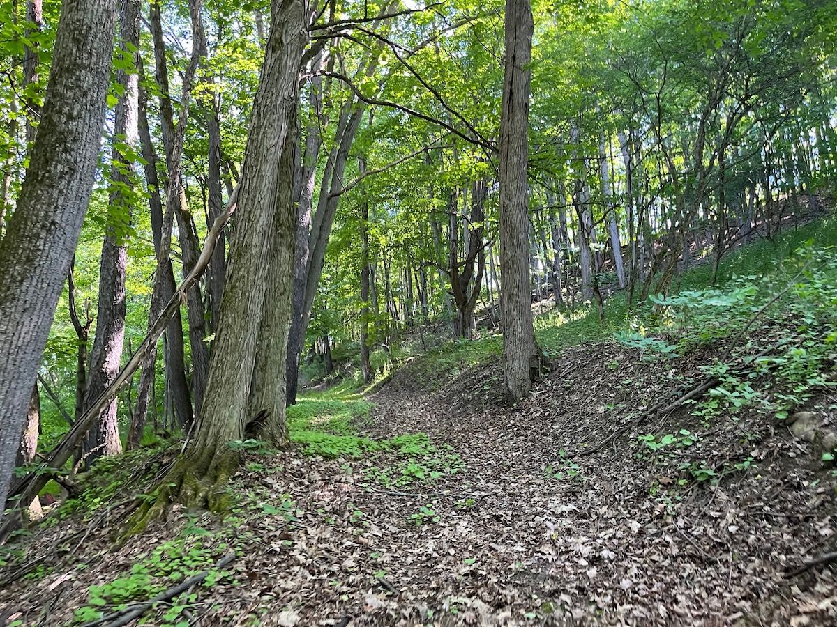 VL Hopkins Rd, LotWP001, Centerville, NY 14065 MLS