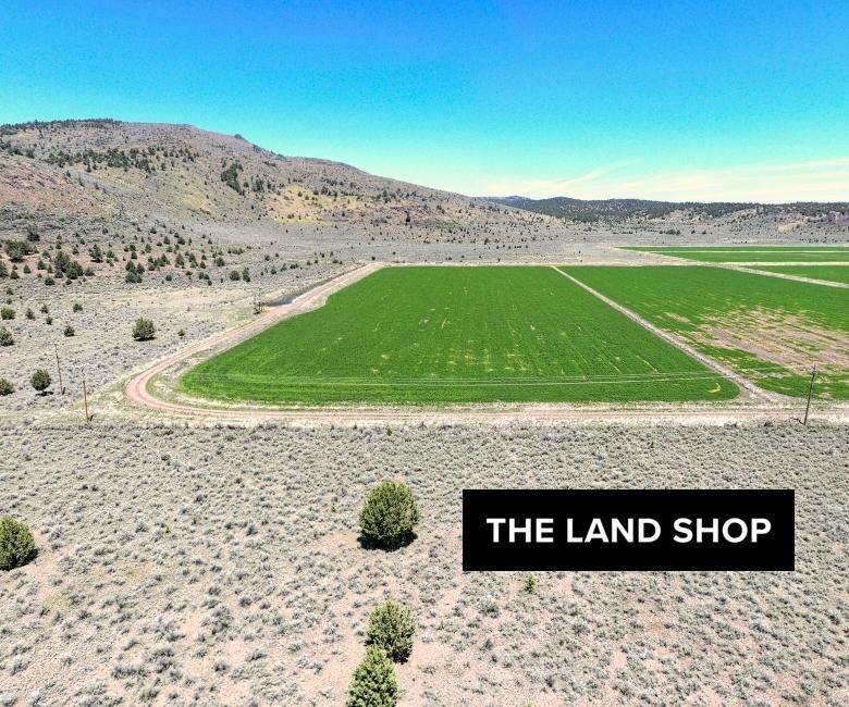 19.9 acres in Madeline, CA, 96119 MLS 031150002000