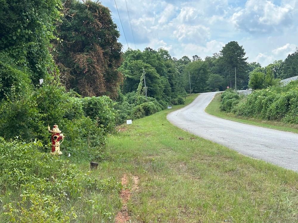 10.97 acres in Fort Valley, GA, 31030