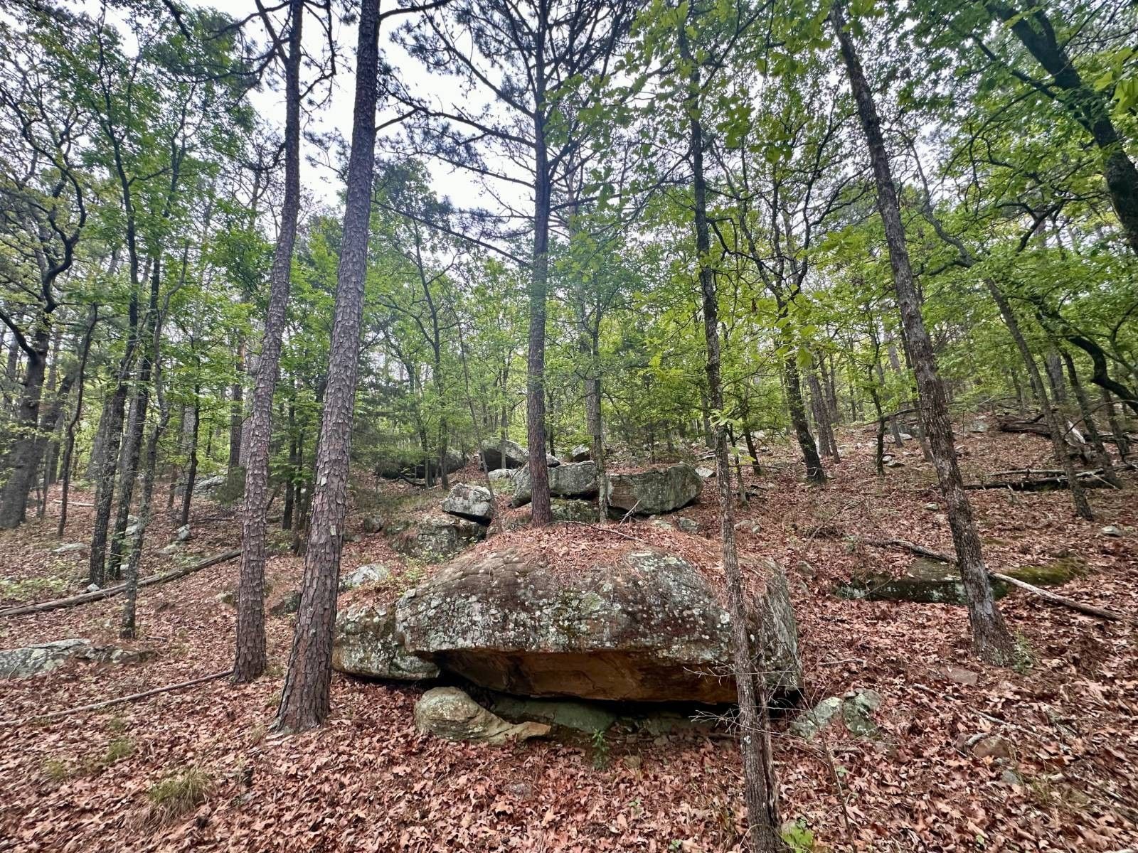 214R Kiamichi Wilderness, Moyers, OK 74557 MLS 11270918