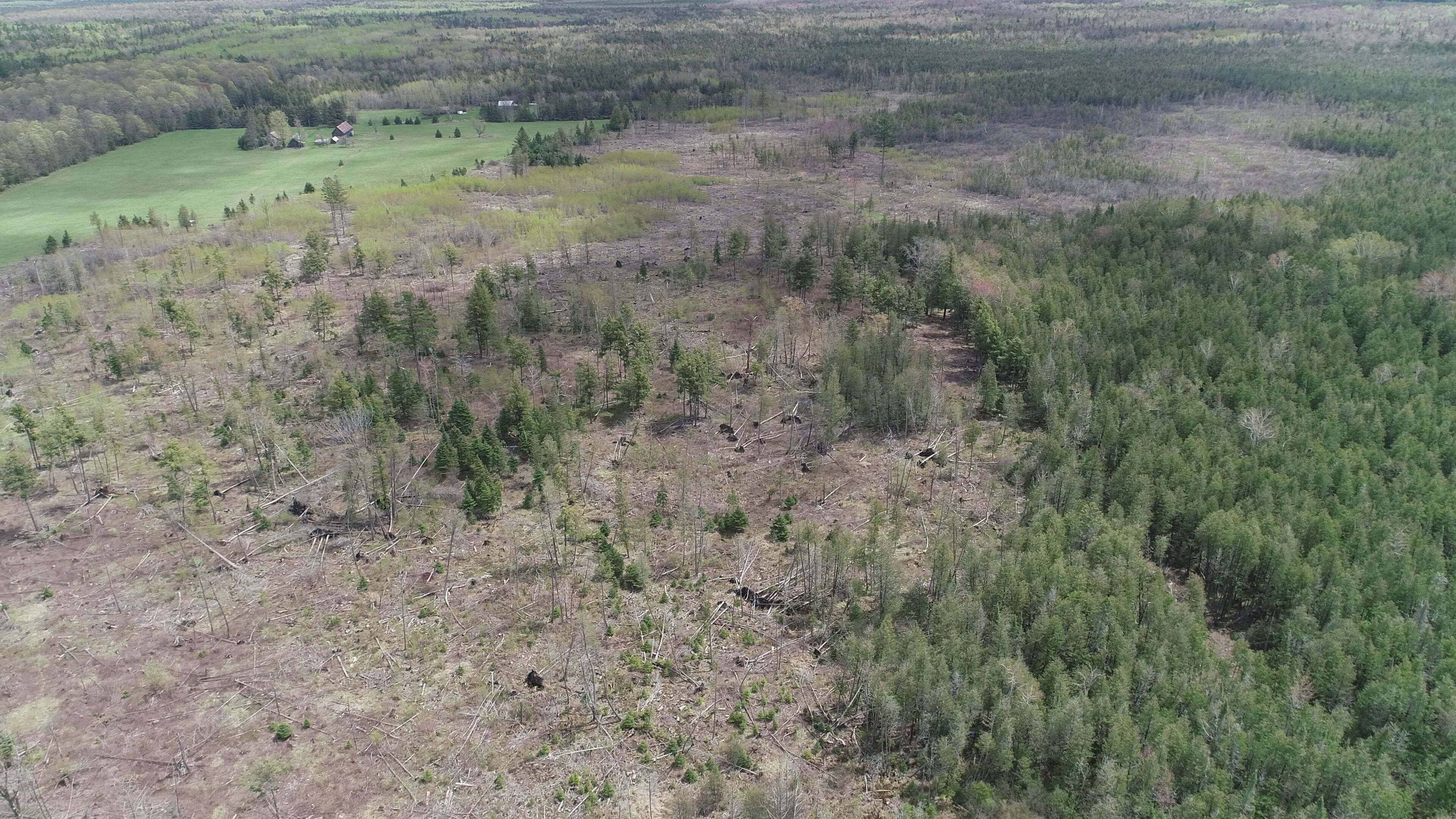 80 acres in Rapid River, MI, 49878 MLS 50143765