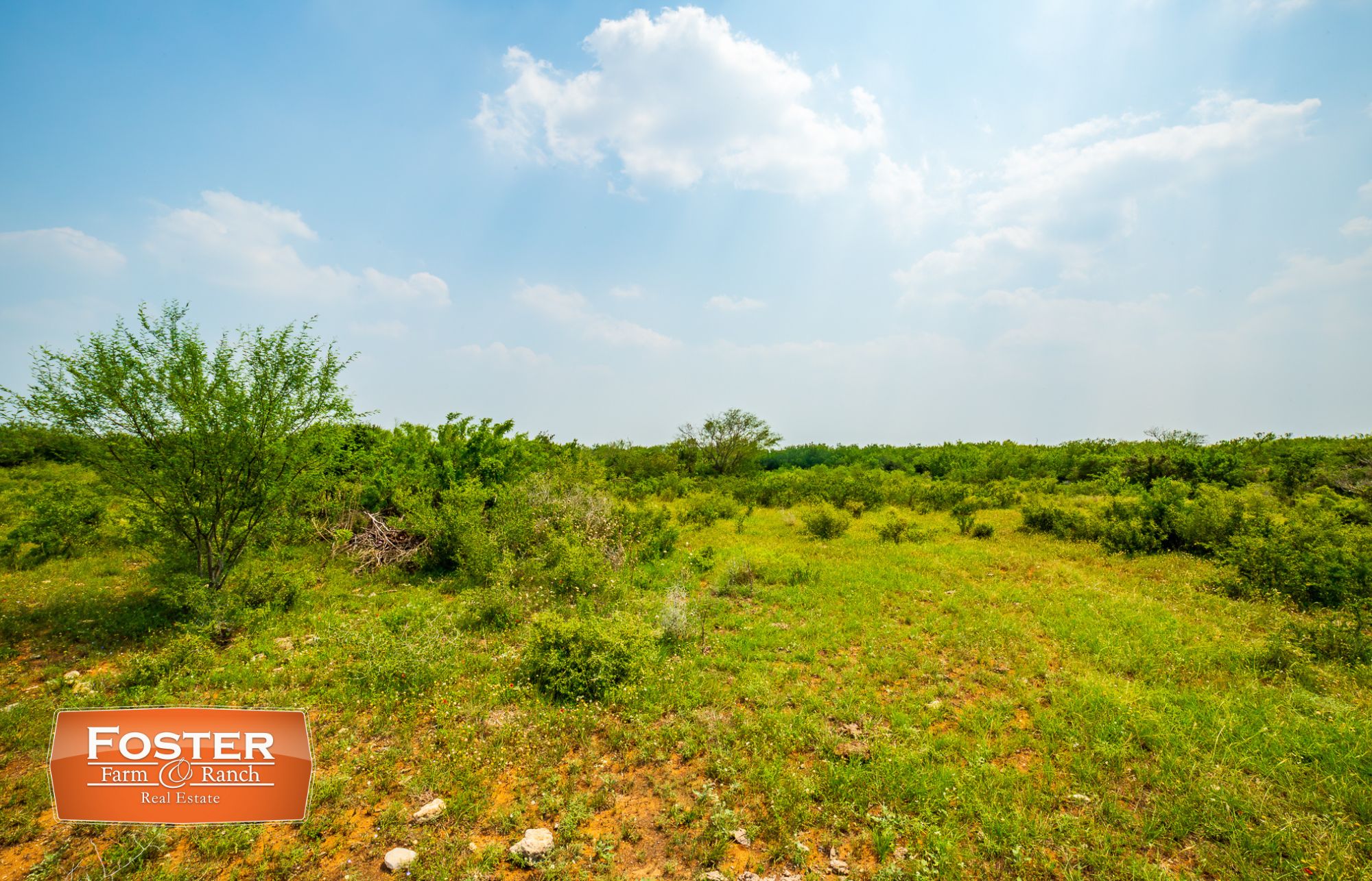 90 acres in San Diego, TX, 78384