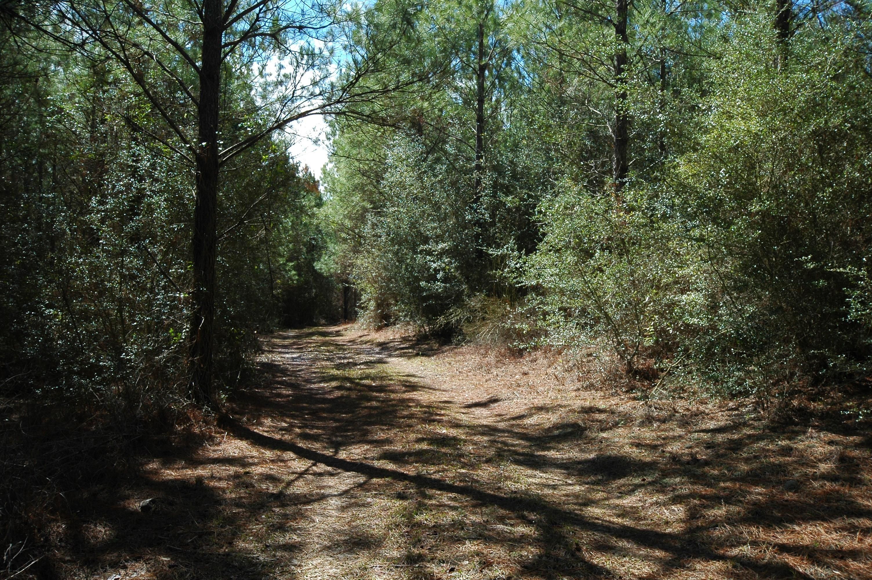 67 acres in Graceville, FL, 32440 MLS Graceville Tract