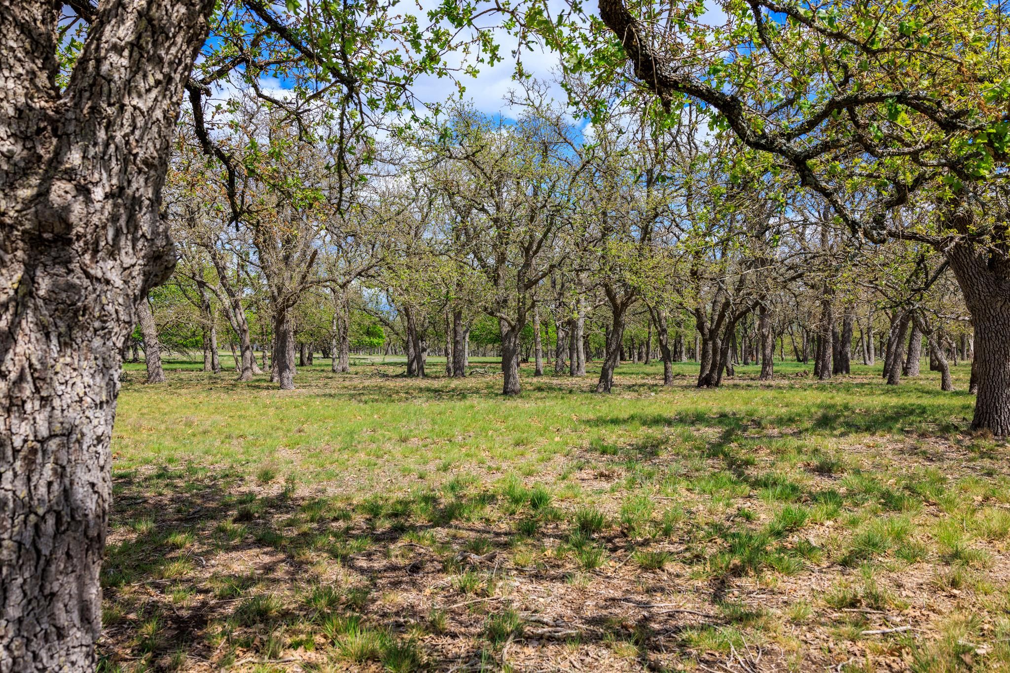 10 acres in Fredericksburg, TX, 78624